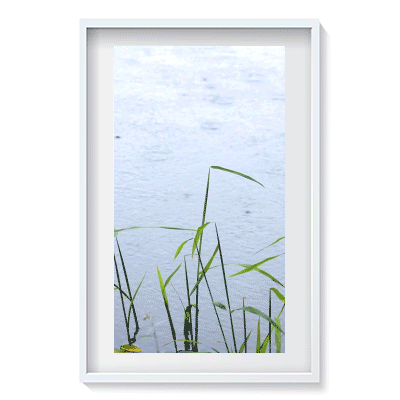 "Rain Dance" will be exhibited at upcoming NA&F art show in Norfolk with other recent "Living Photos" 