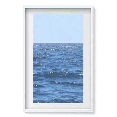 sea4site.gif