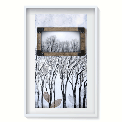 stillart_trees4web.gif