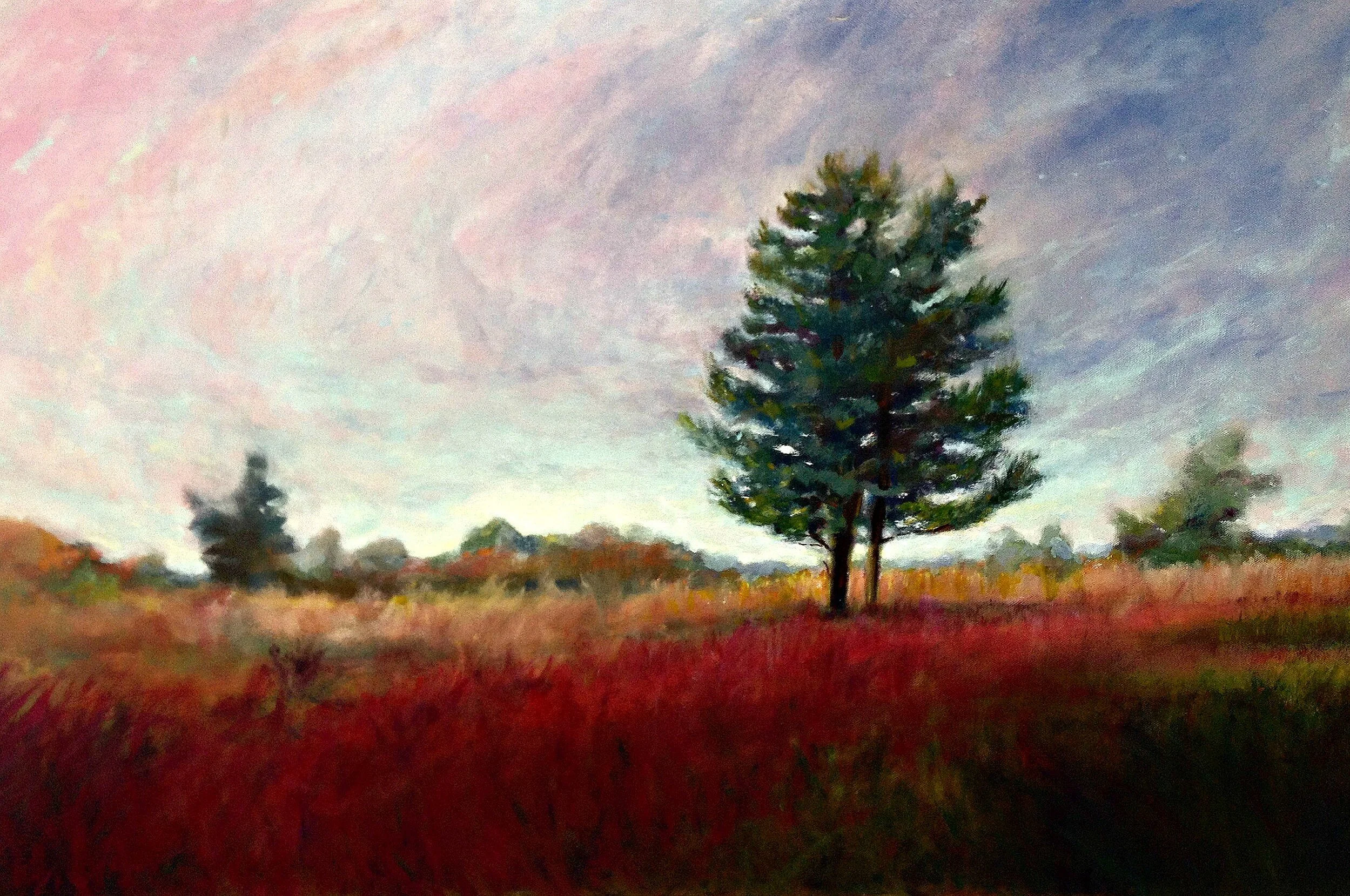 Morning tree