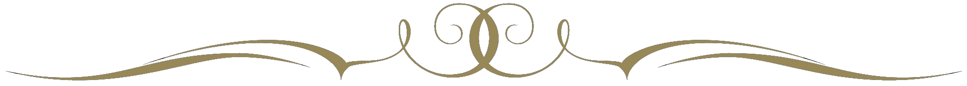 deco-line-1-c.png