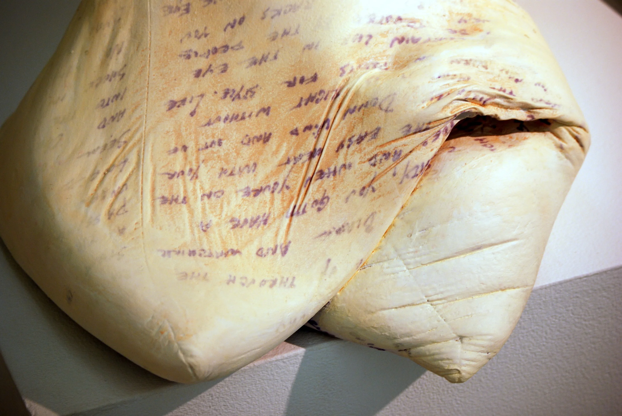 "Body Pillow I"