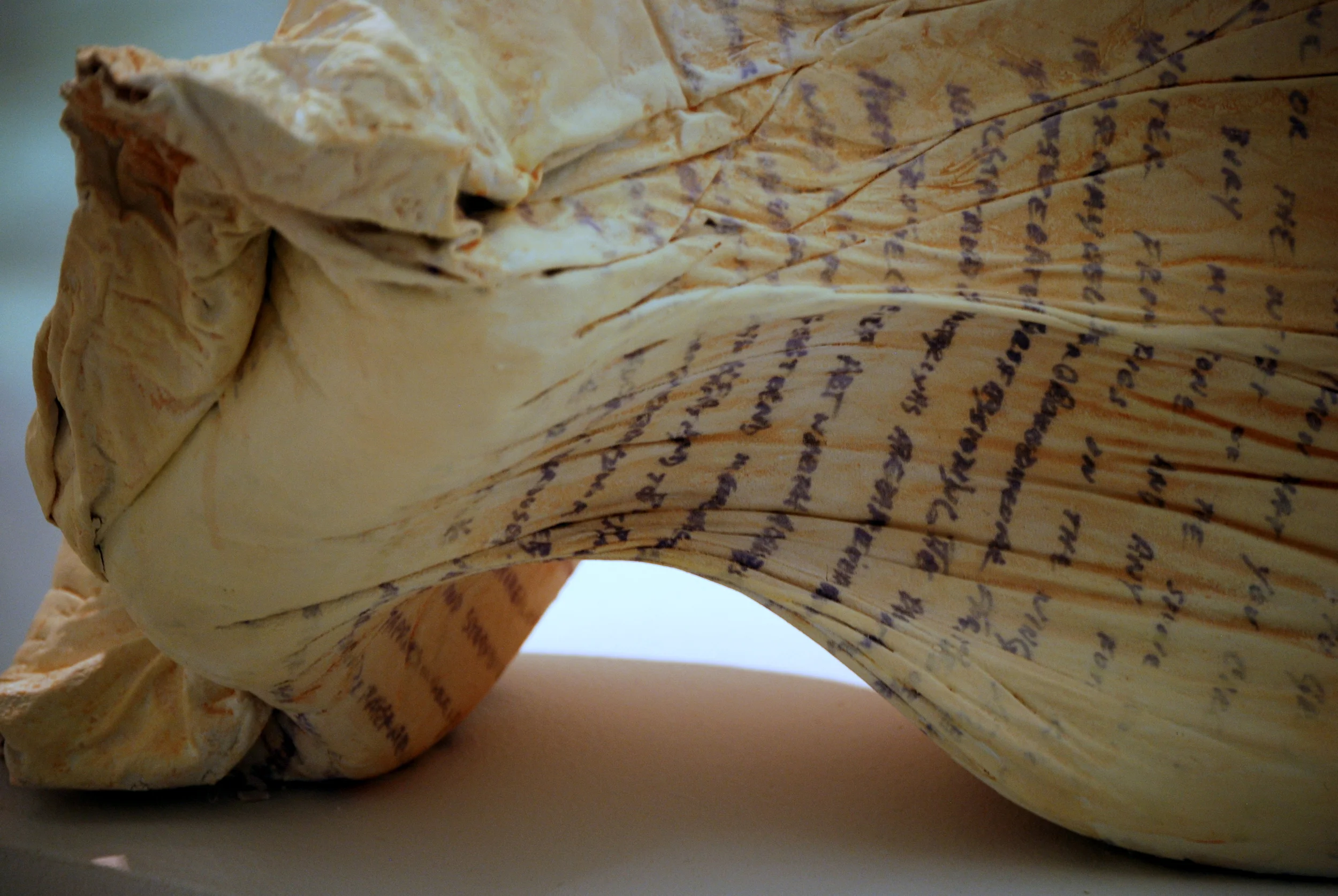 "Body Pillow I"