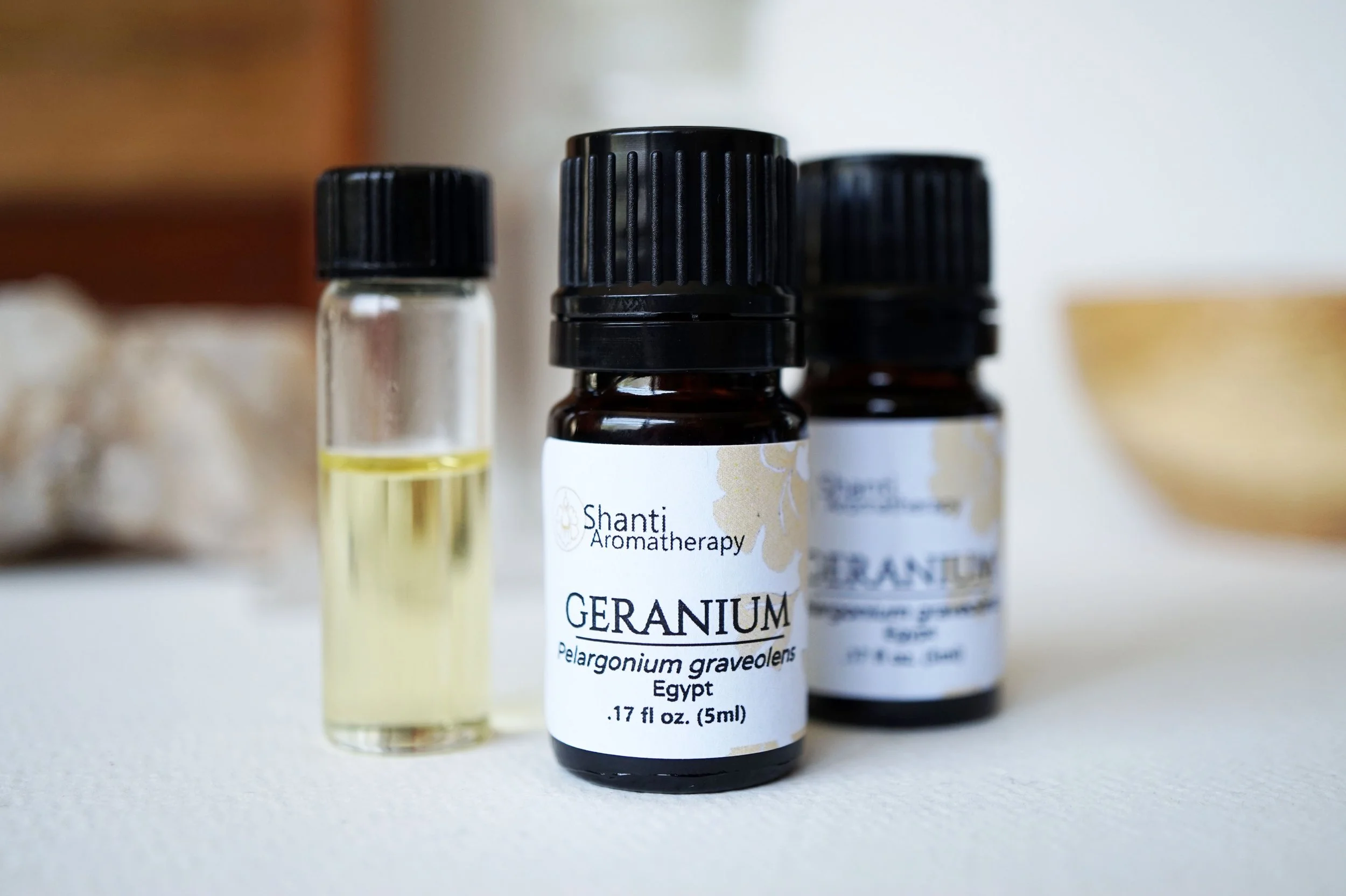 Geranium (3).JPG