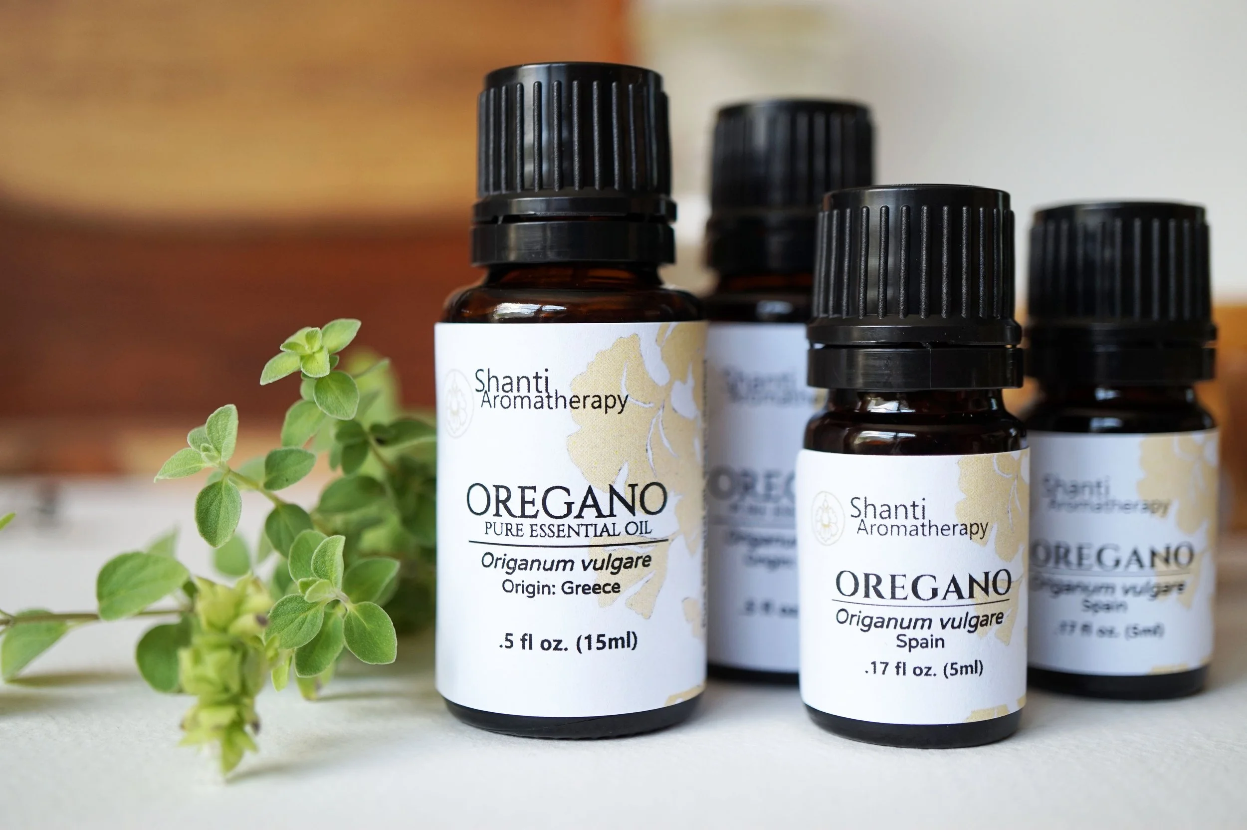 Oregano (8).JPG