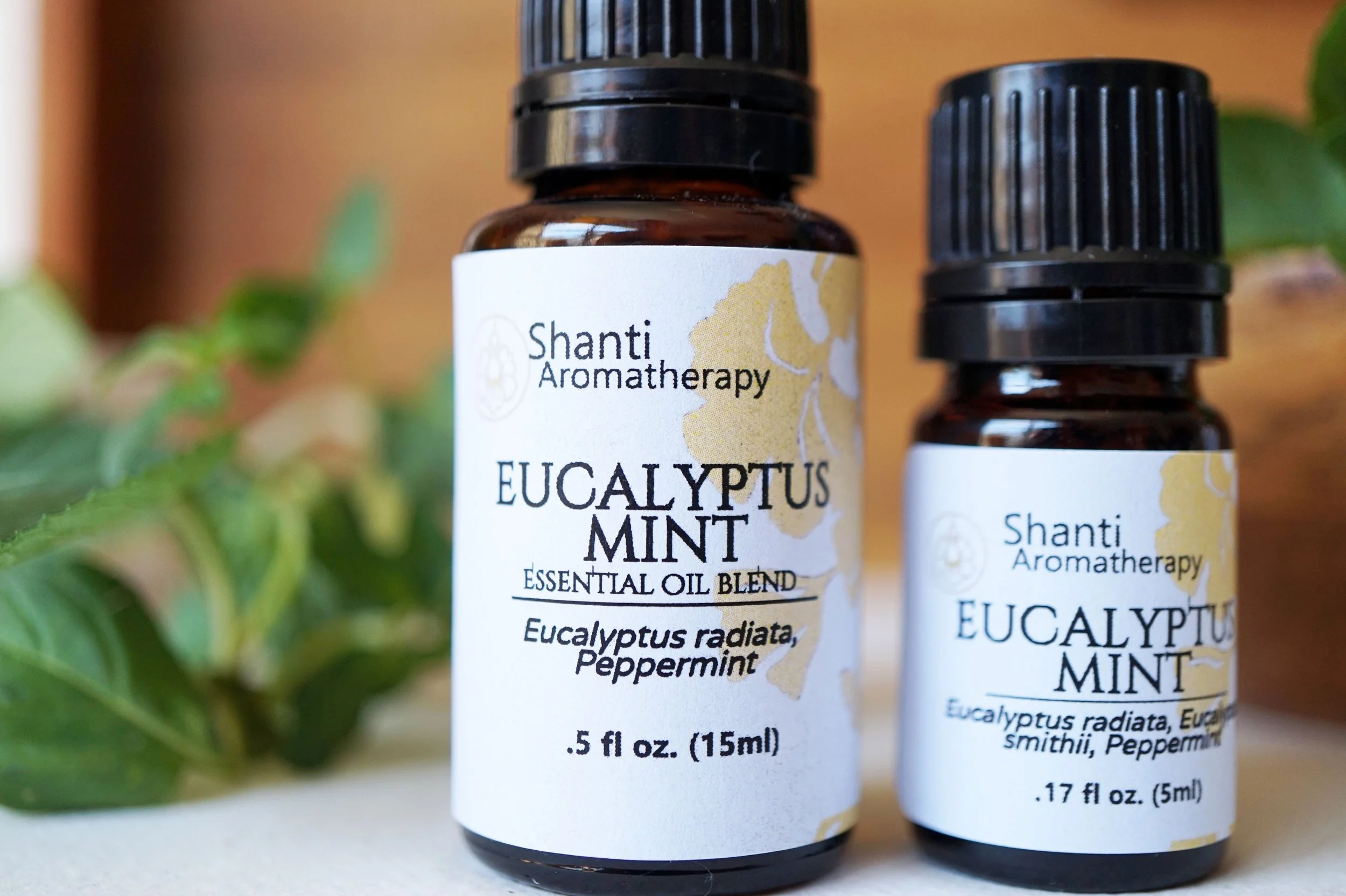 Eucalyptus Mint Blend (6).JPG