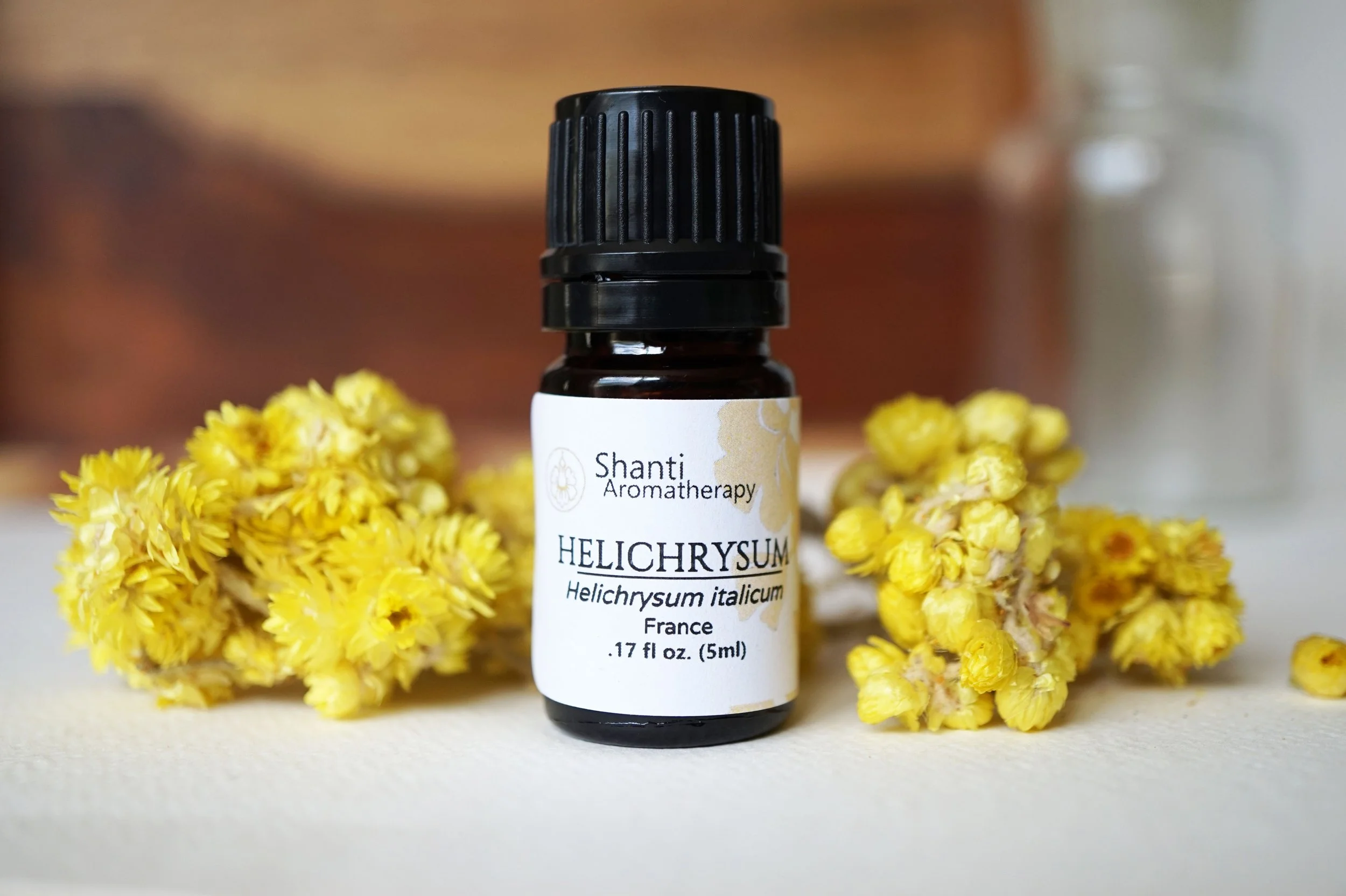 Helichrysum (2).JPG