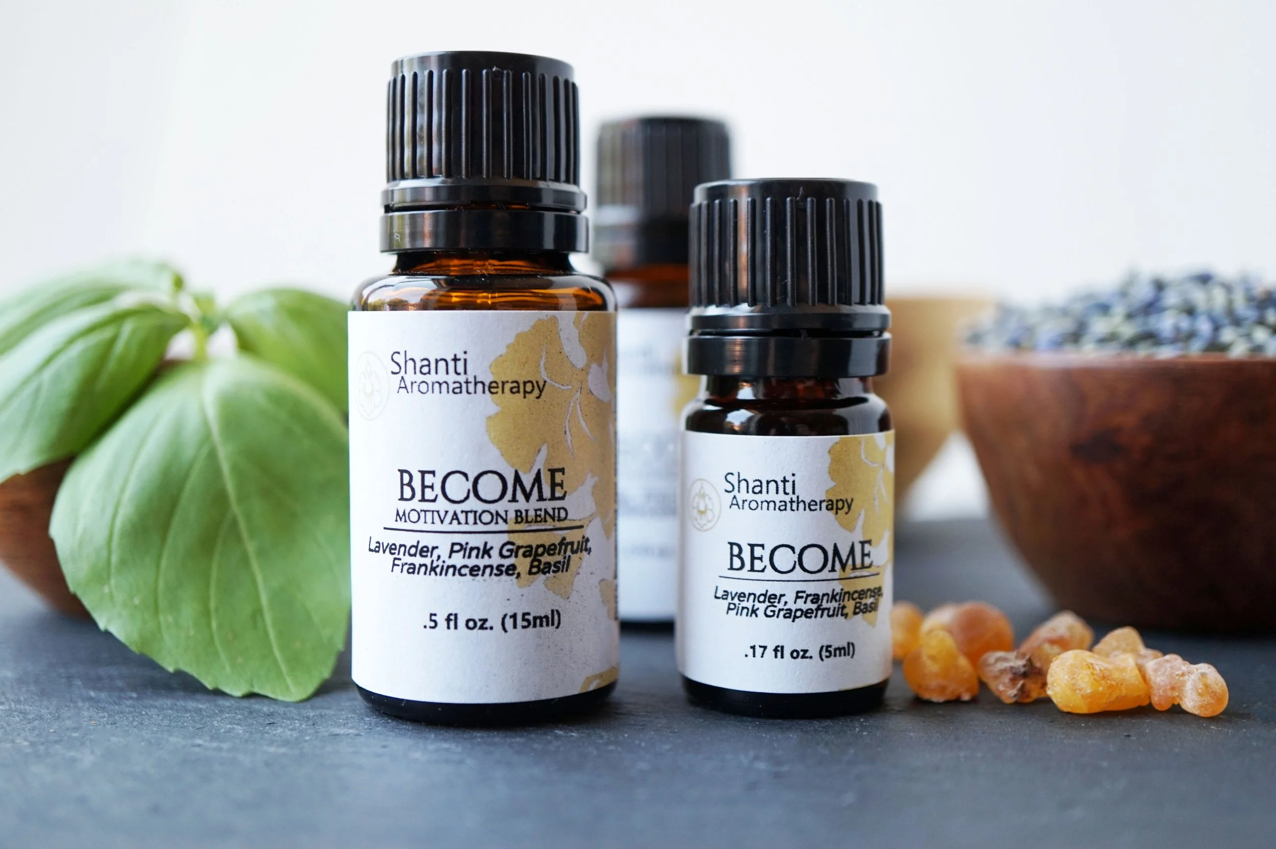 Become Blend (4).JPG
