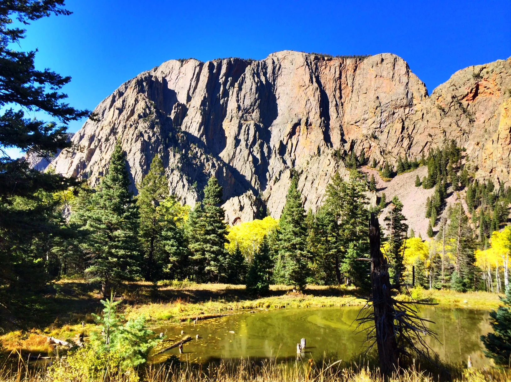 Digital Detox: Yogis Need to Unplug Too 