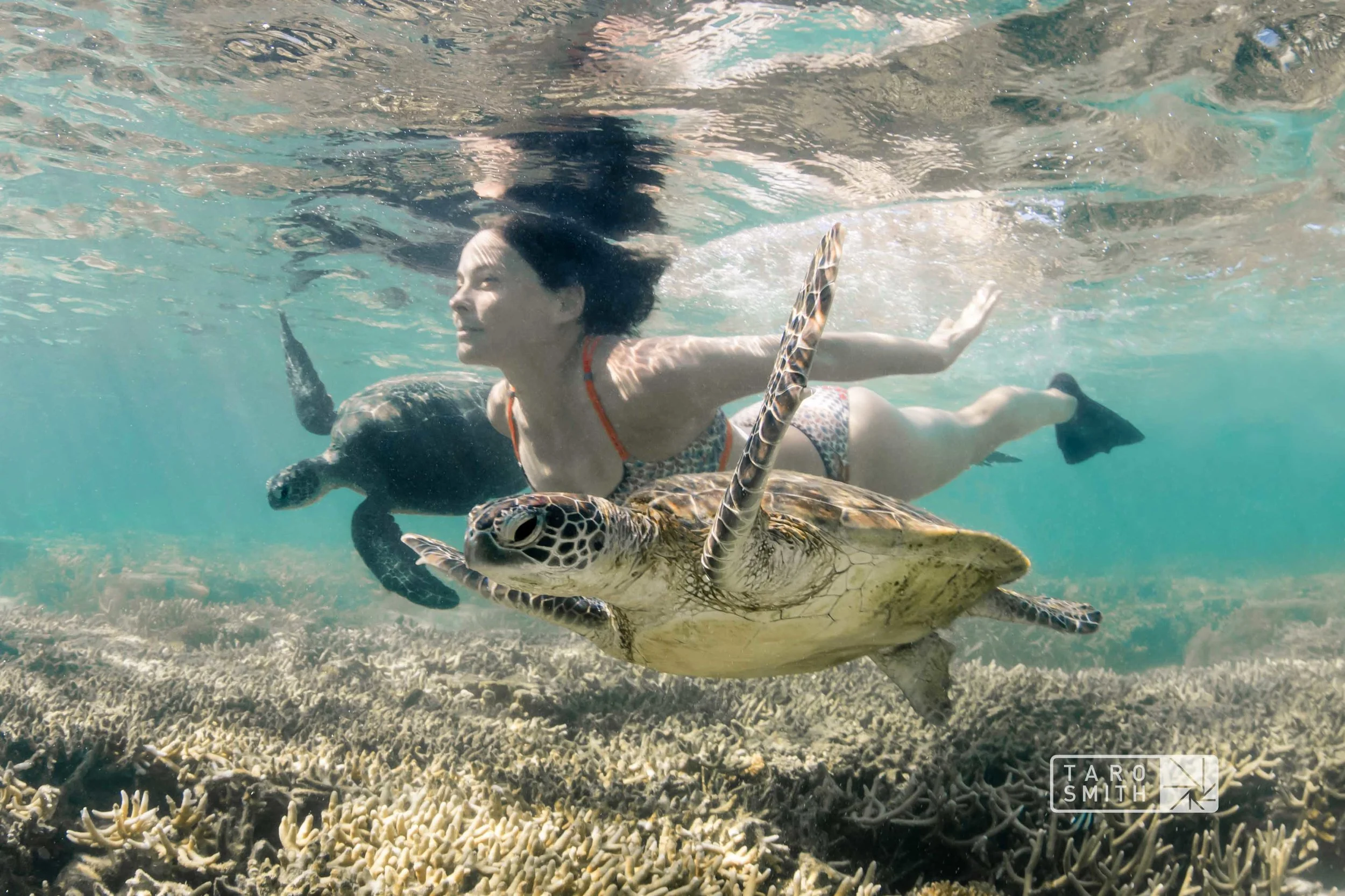 Flying with TurtlesLadyElliotAmyIppoliti.jpg