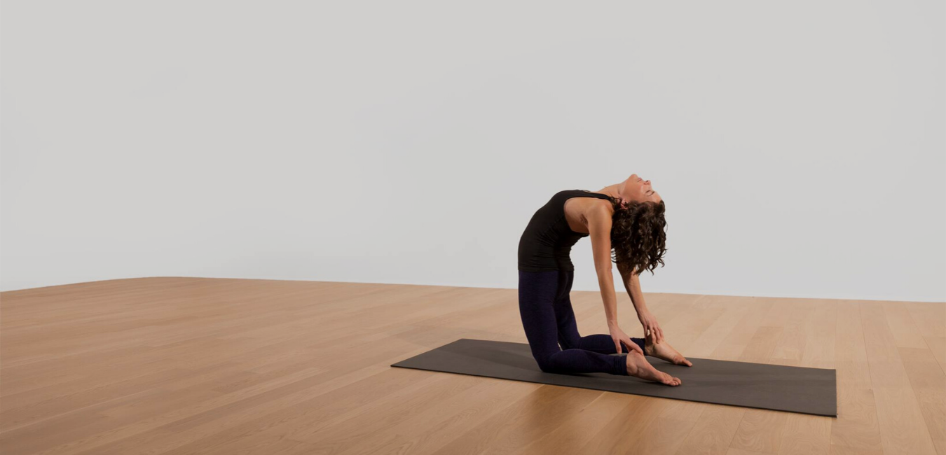 Flow Your Yoga Better: Longevity Alignment Series w/ Amy Ippoliti &amp; JAI Yoga+Meditation 