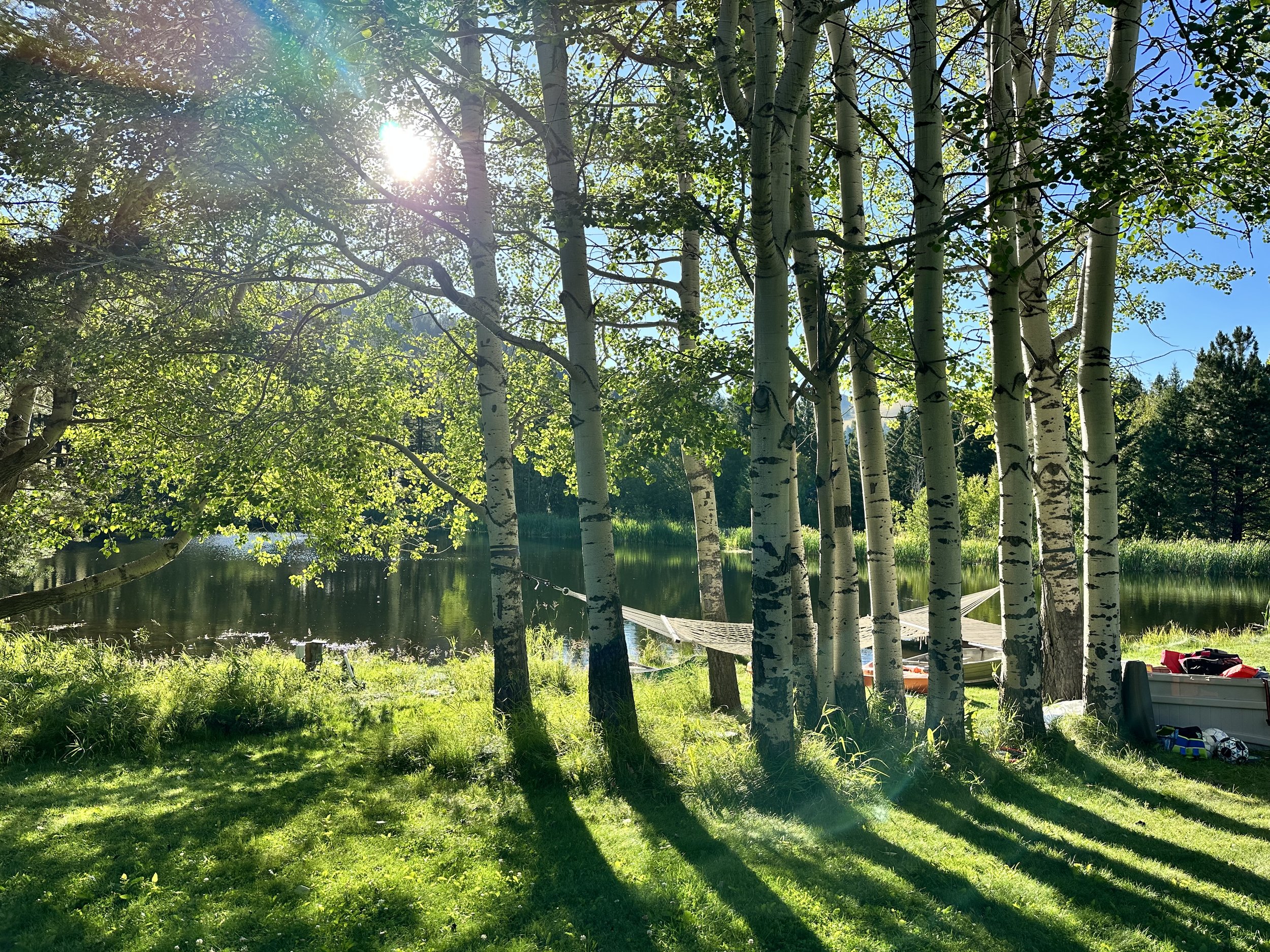 Screen-free in Montana: My Four Take-aways