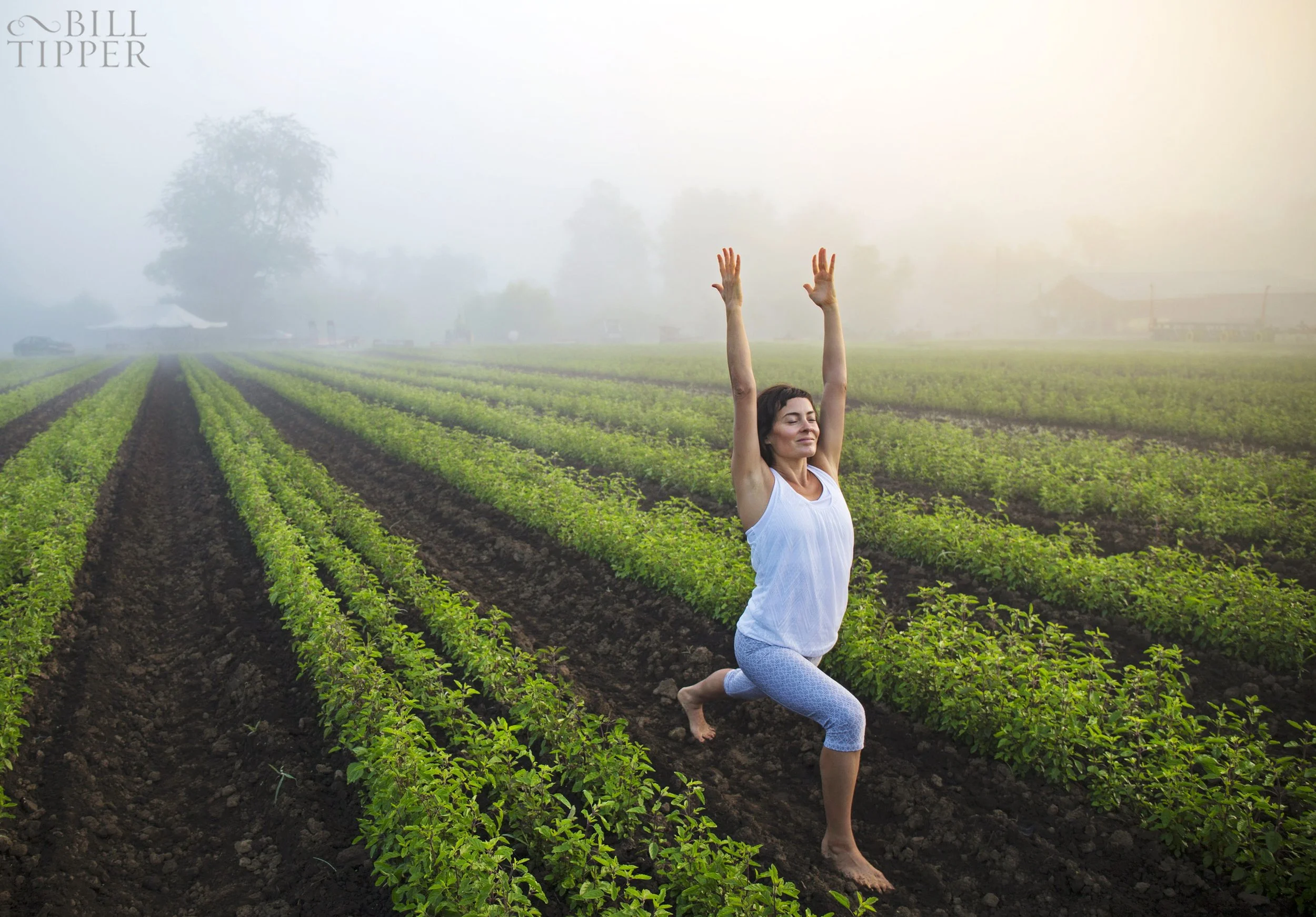 Farm to Mat Summer Series: Farm49 - September 7th, 2025