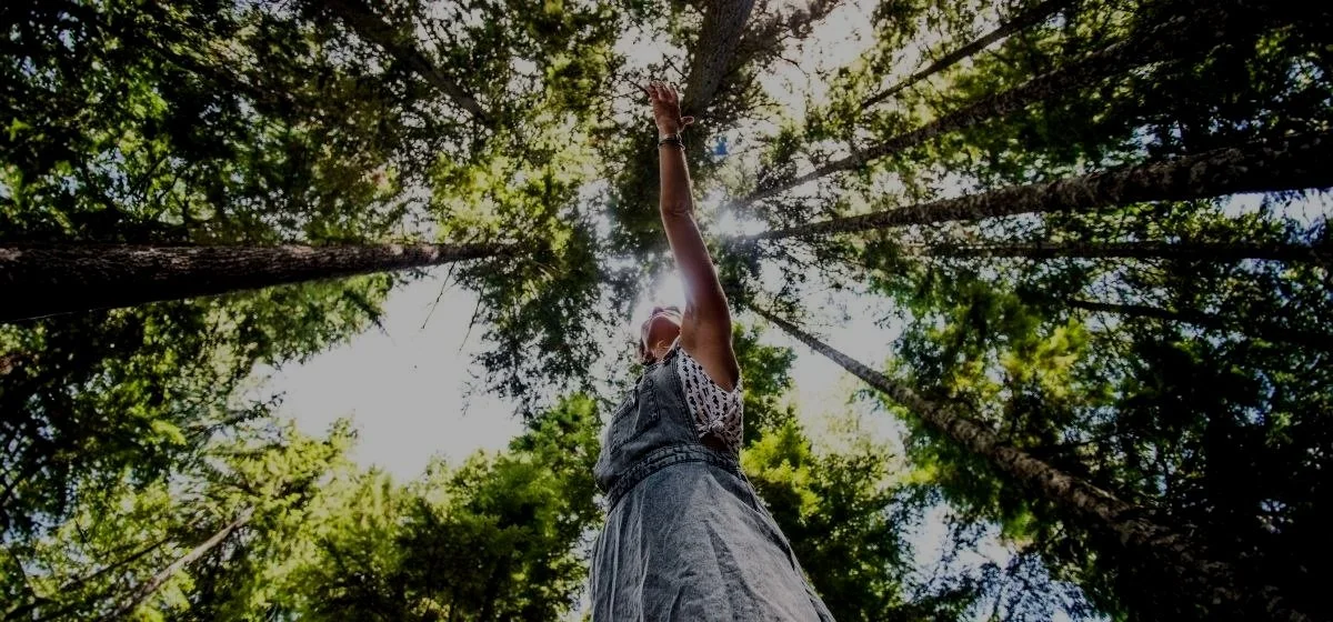 Experience Regeneration | Omega Institute, Rhinebeck, NY