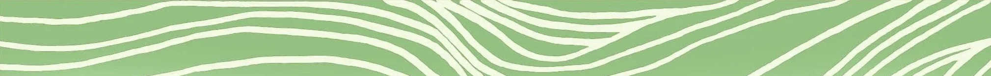 Dharma Stream banner divider.jpg