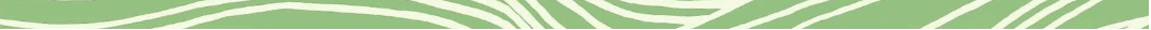 Dharma Stream banner divider 3.jpg