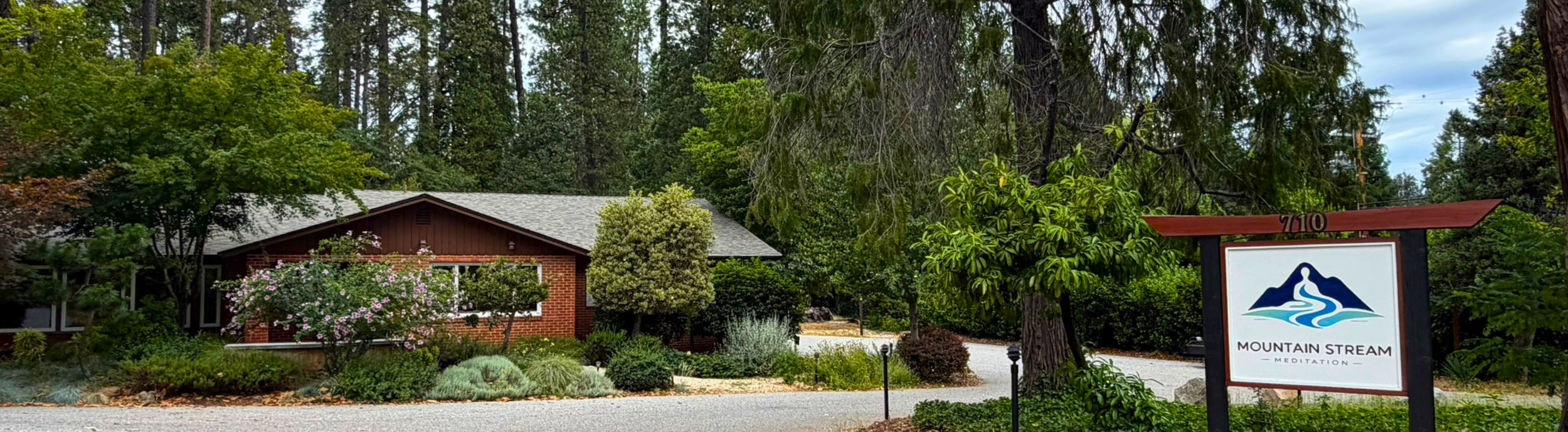 2026 June Lauren website banner (3).png