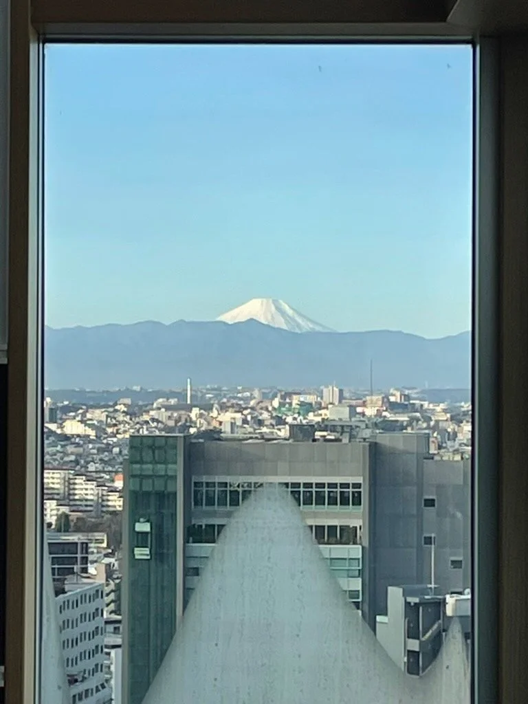 IMG_0380.jpeg