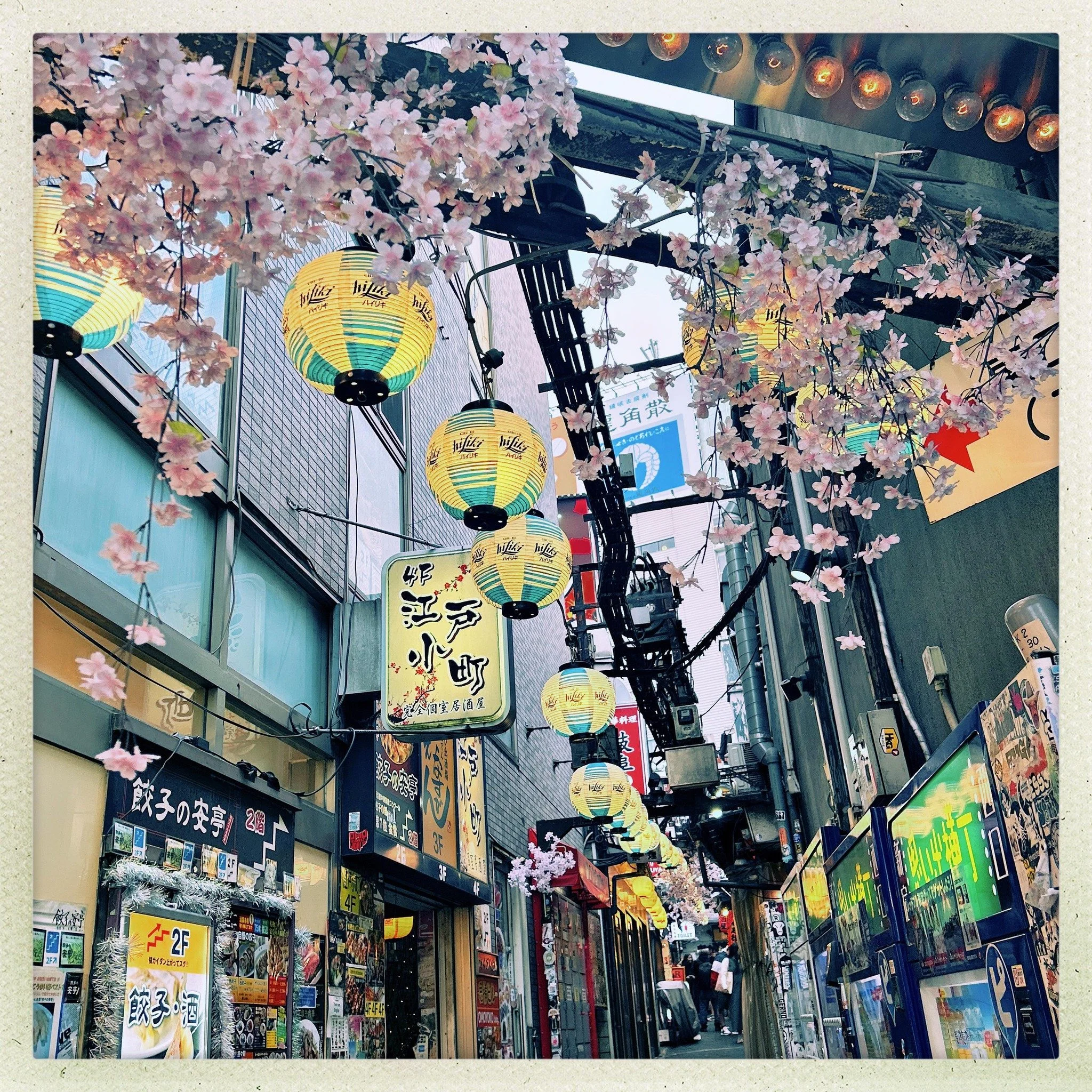 Shana Tokyo pic.jpg