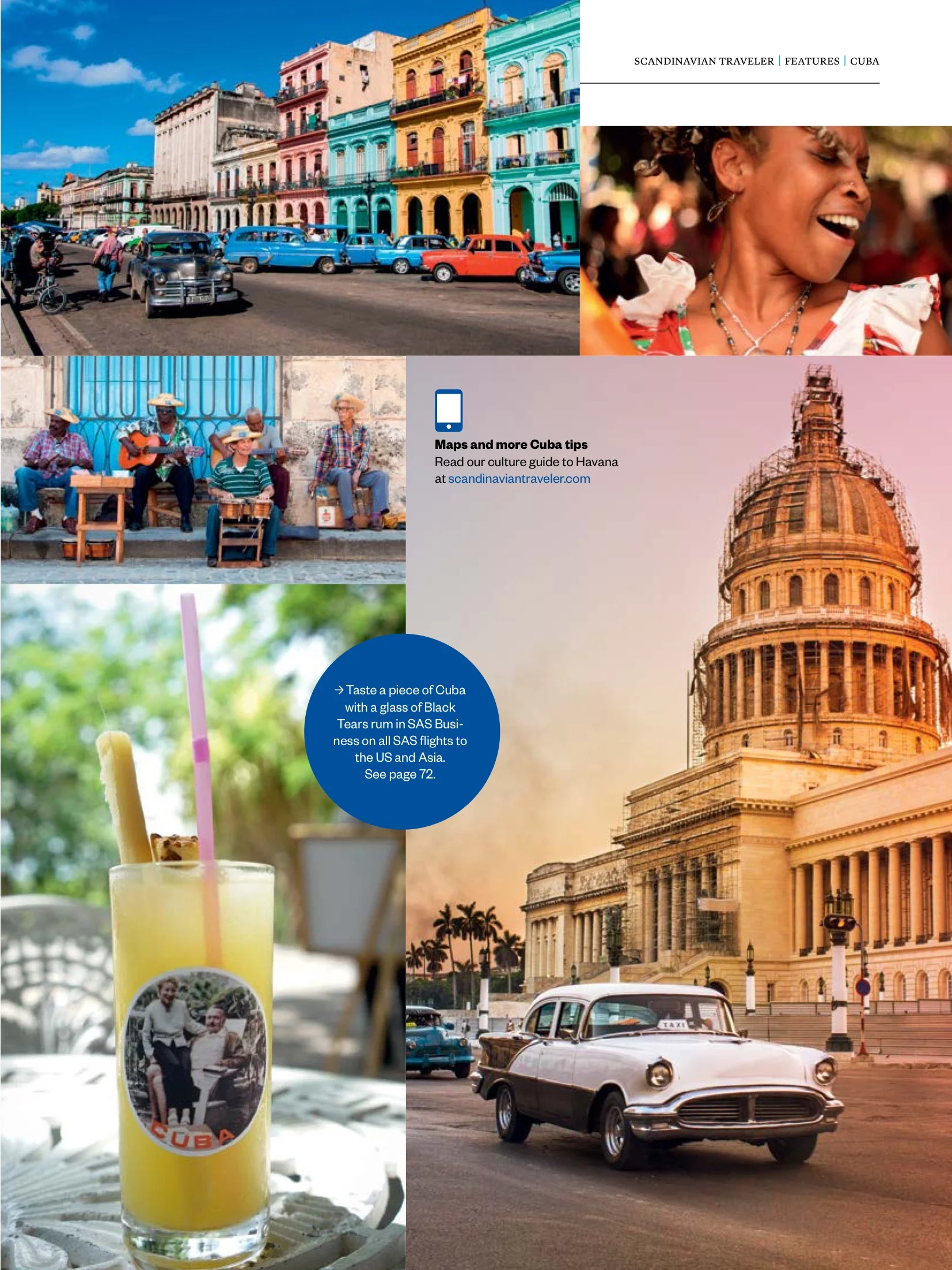 scandinavian traveler 39.jpeg