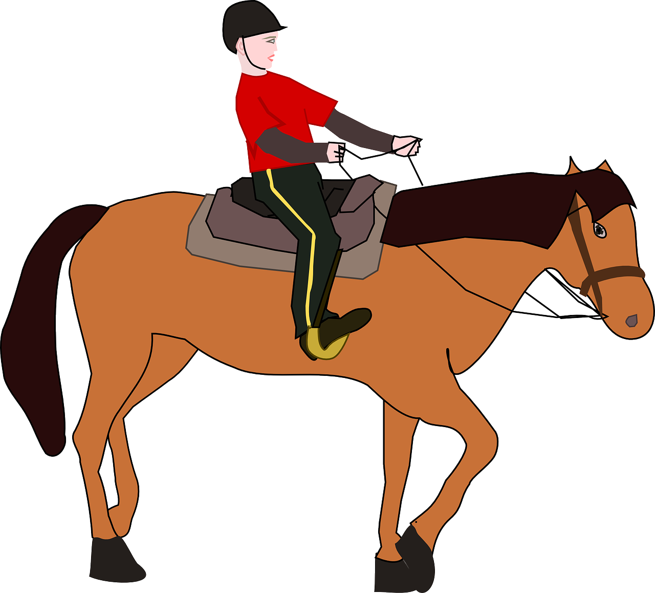 Horse reigns.png