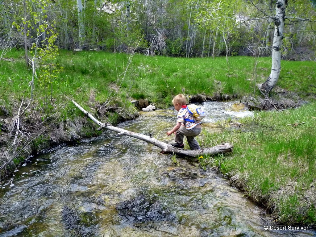 balancing on log.JPG