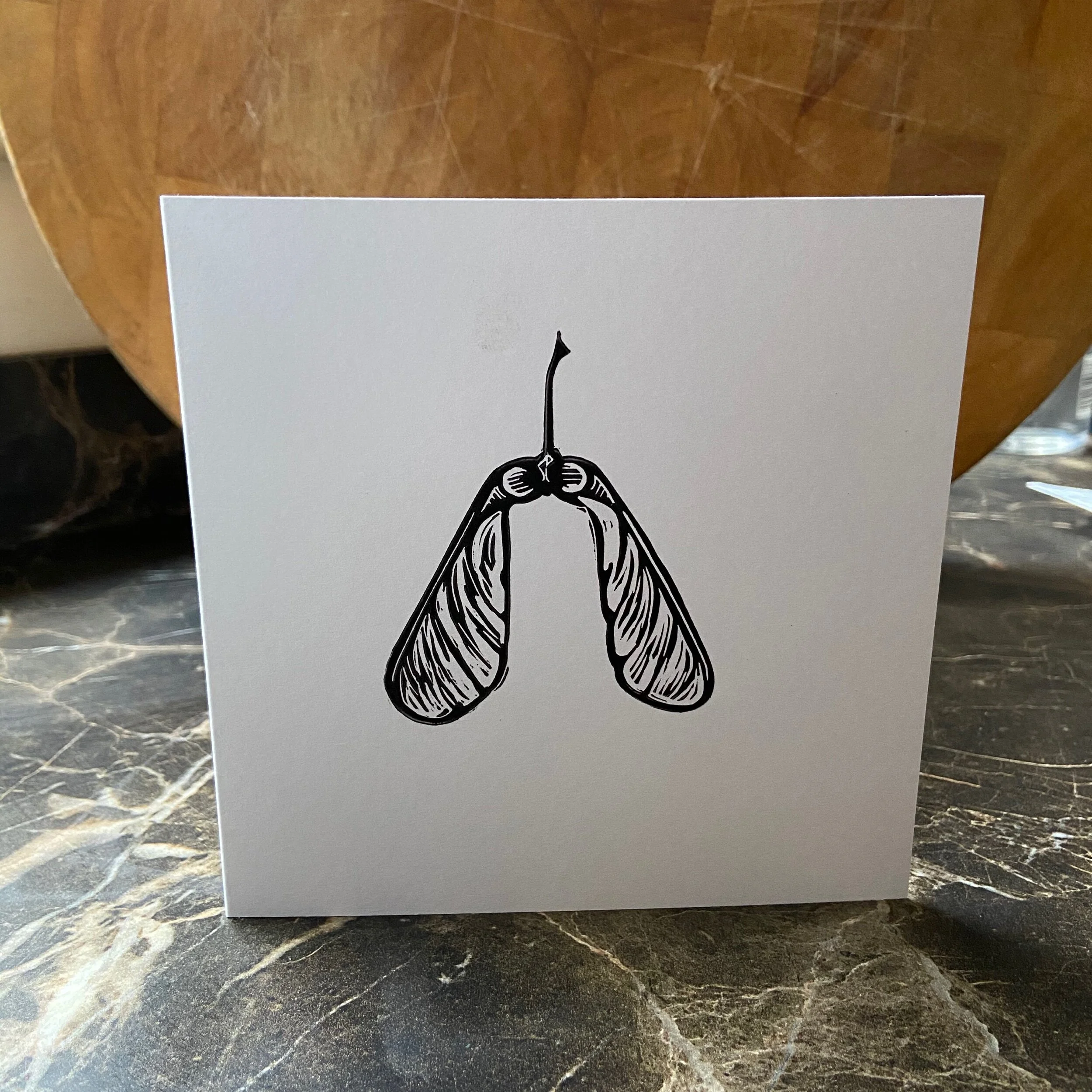 B2605240-59F2-4553-803E-149C86977154