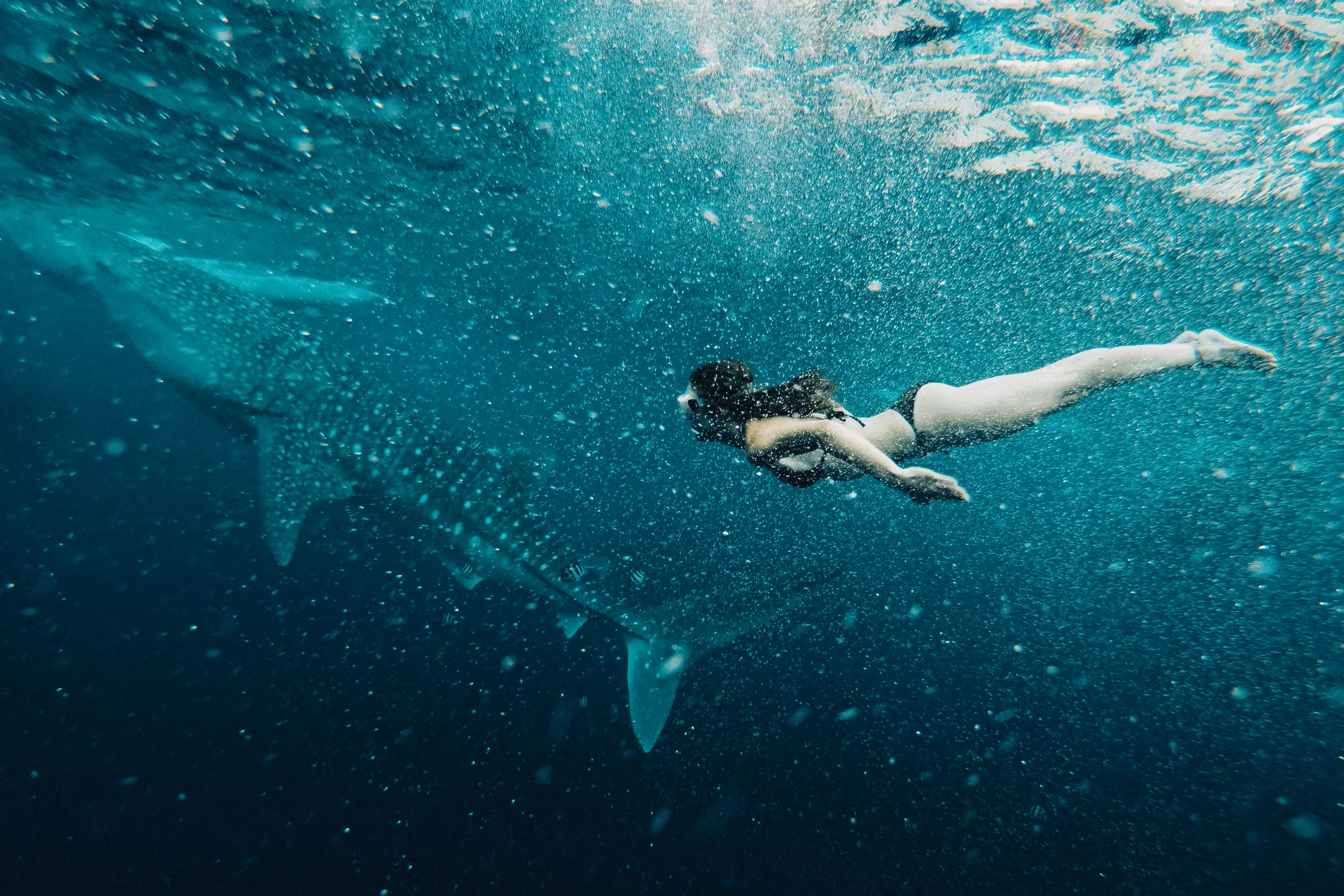 Filipinezen 2018 - Gopro 1-49.jpg