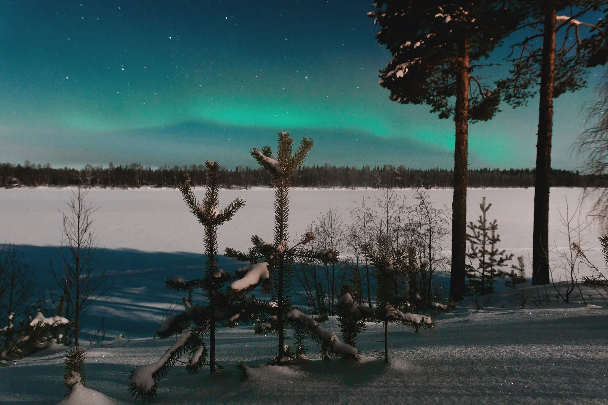 Lapland-9.jpg