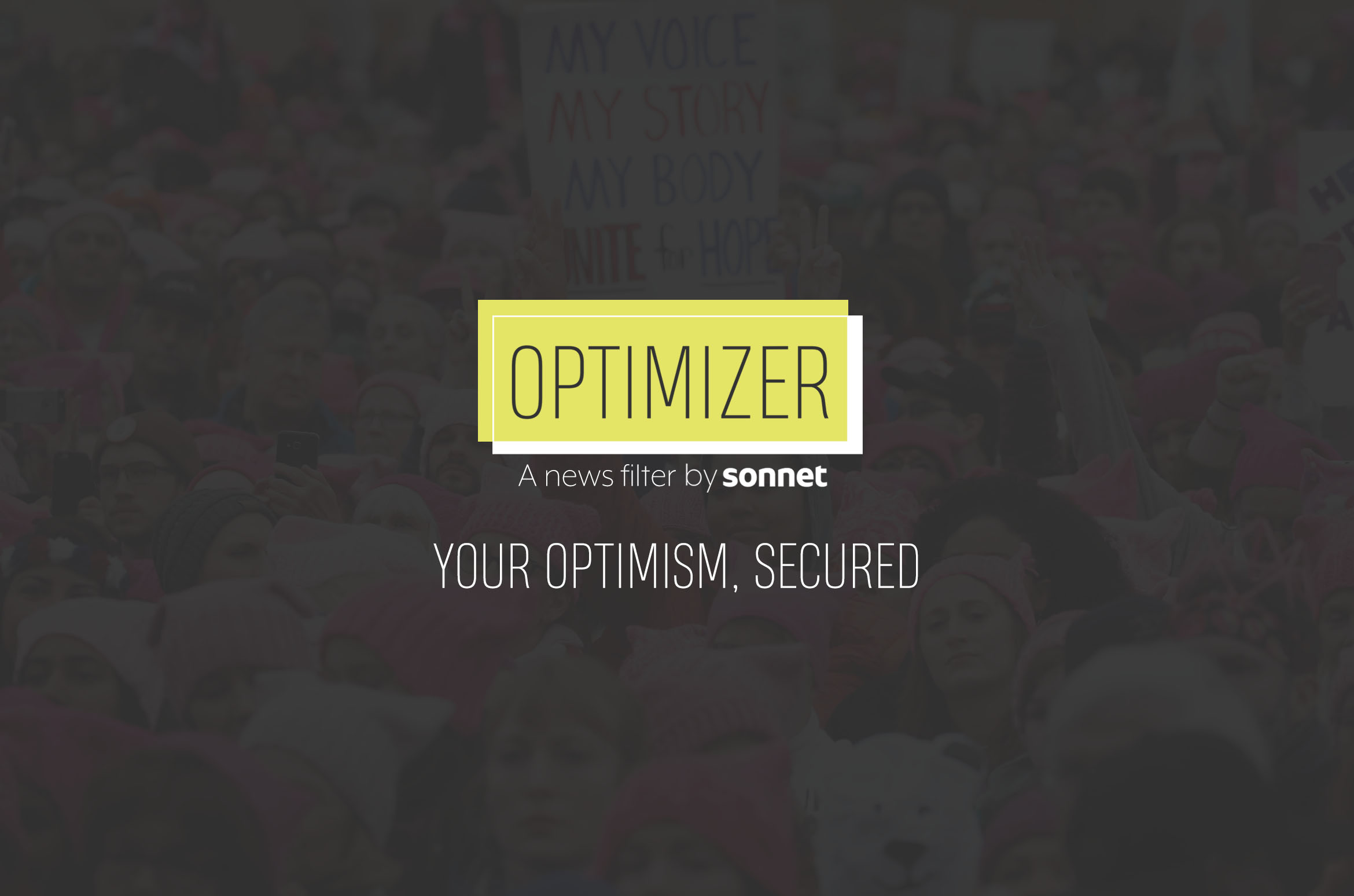 TheOptimizer4.jpg