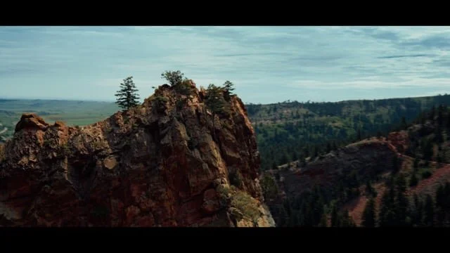 Bad Boy Mowers "Questions" TV :30