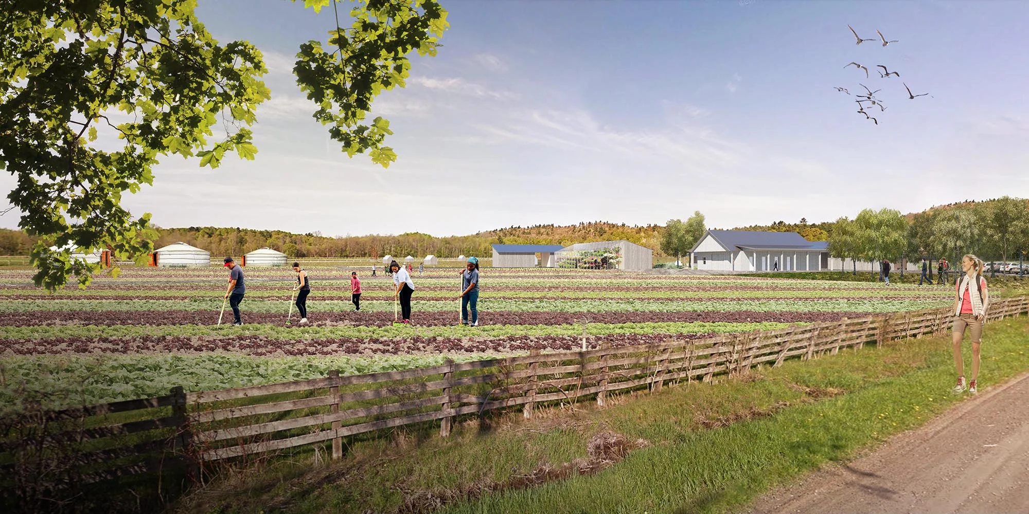 Rendering Streetview.jpg