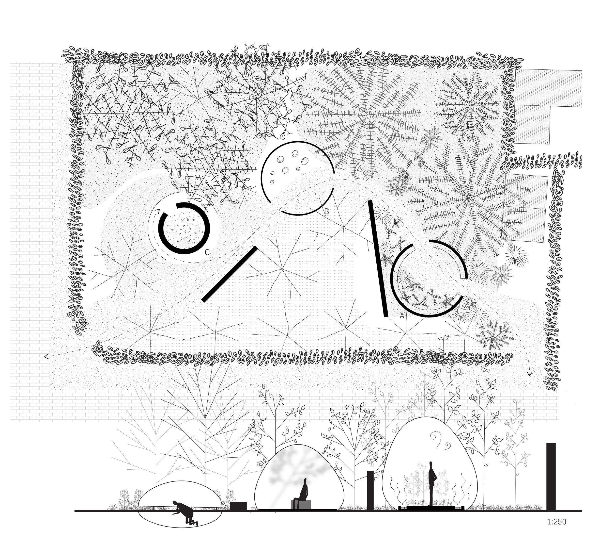 Plan and Section