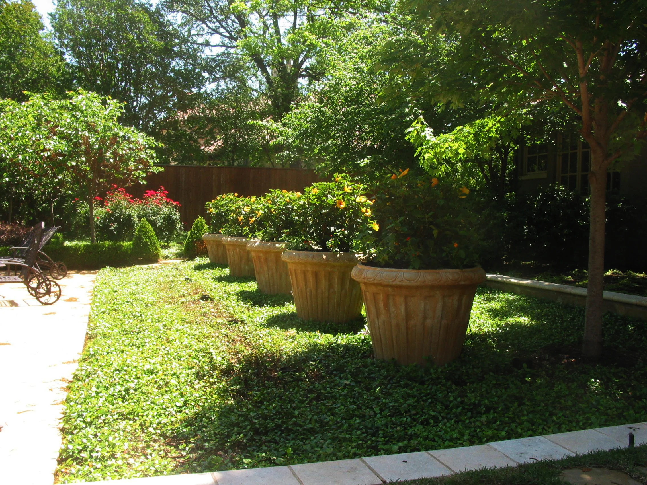 Blackland Prairie Portfolio-52.jpg