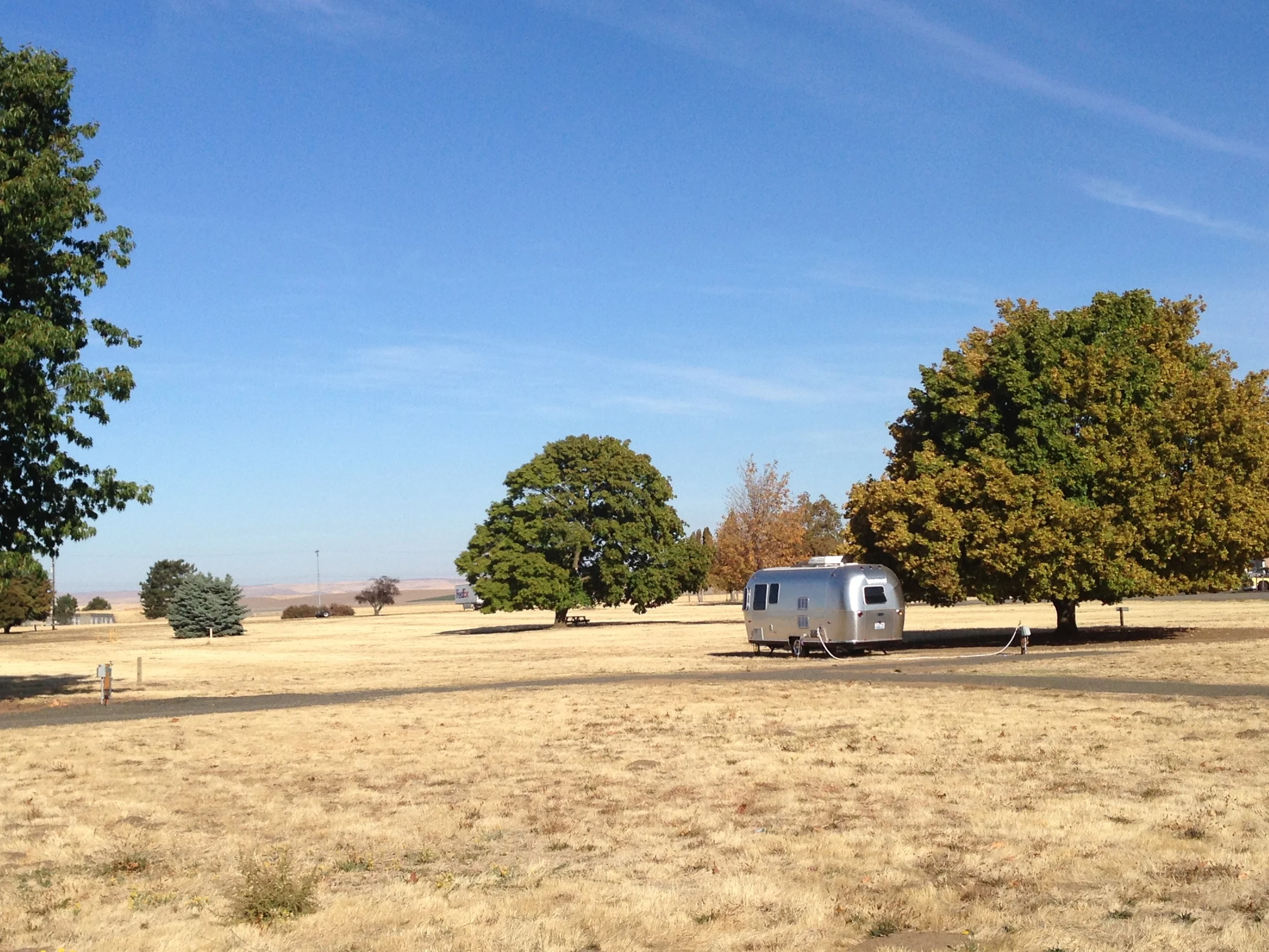     try{if (typeof(lpcurruser) == 'undefined') lpcurruser = ''; if (document.getElementById('lpcurruserelt') && document.getElementById('lpcurruserelt').value != '') { lpcurruser = document.getElementById('lpcurruserelt').value; document.getElementBy