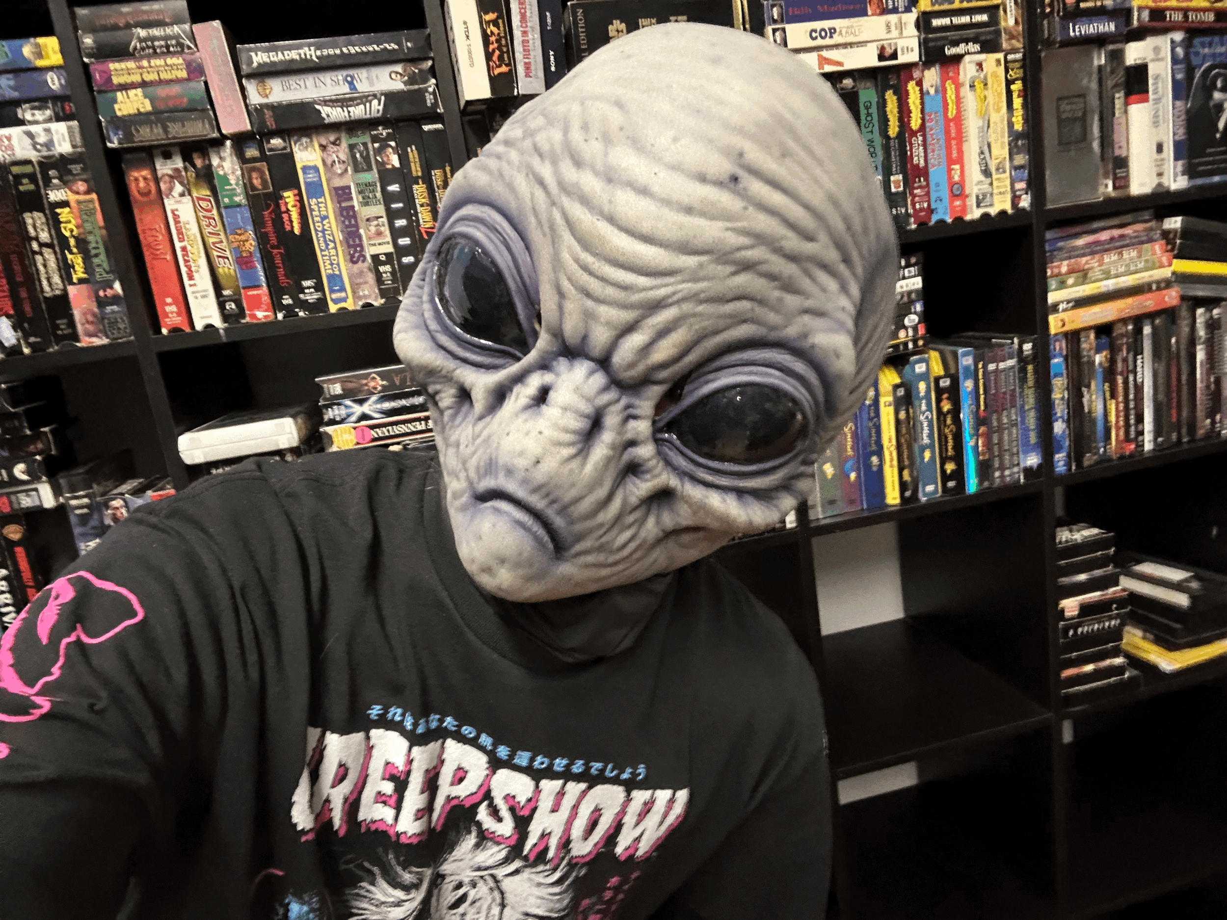 tempImageTaNYYP.gif