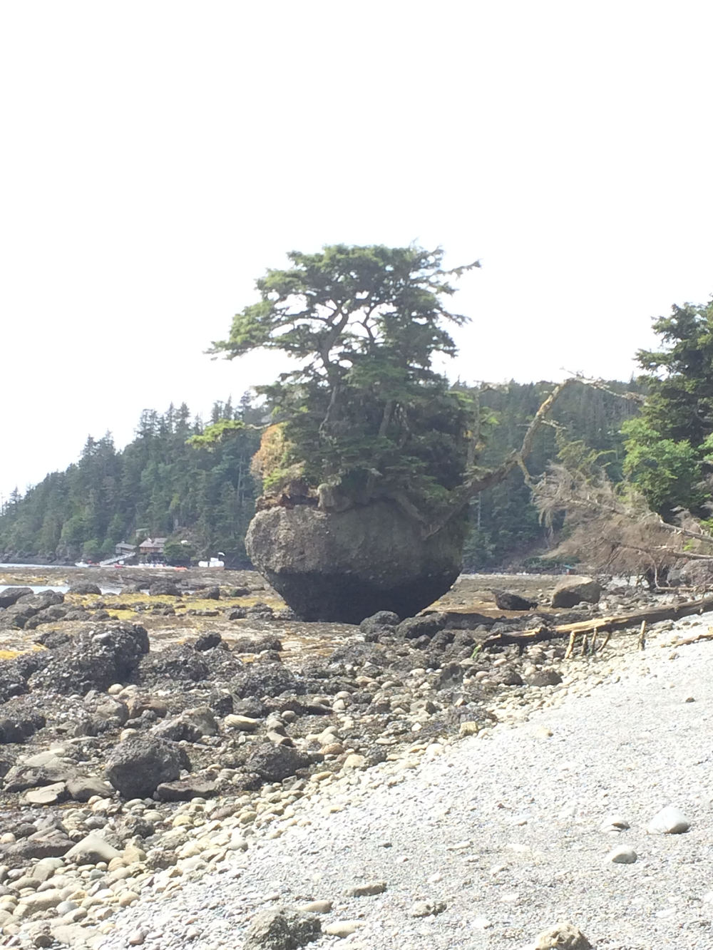 flowerpot rock.jpg