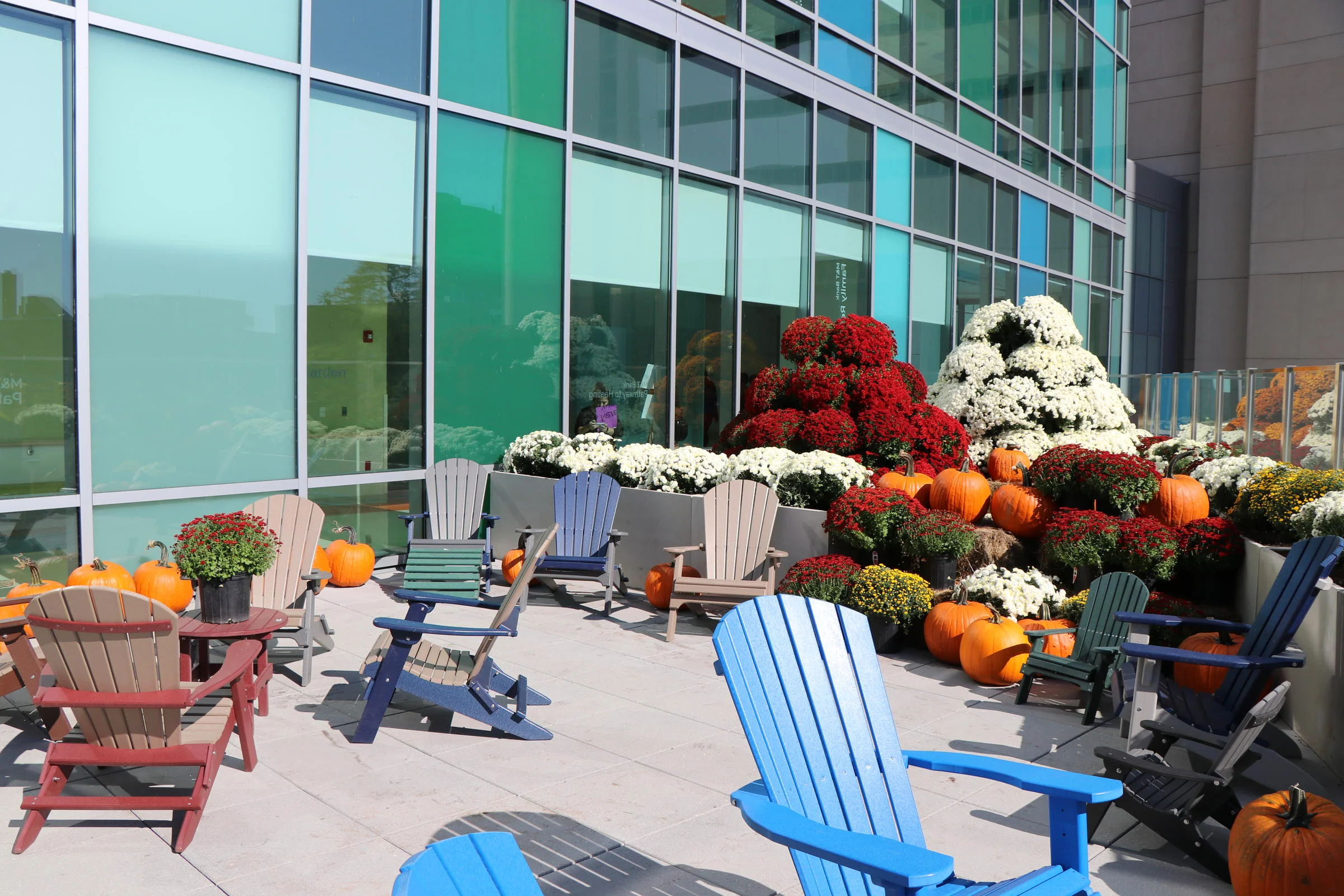 Respite Garden.jpg