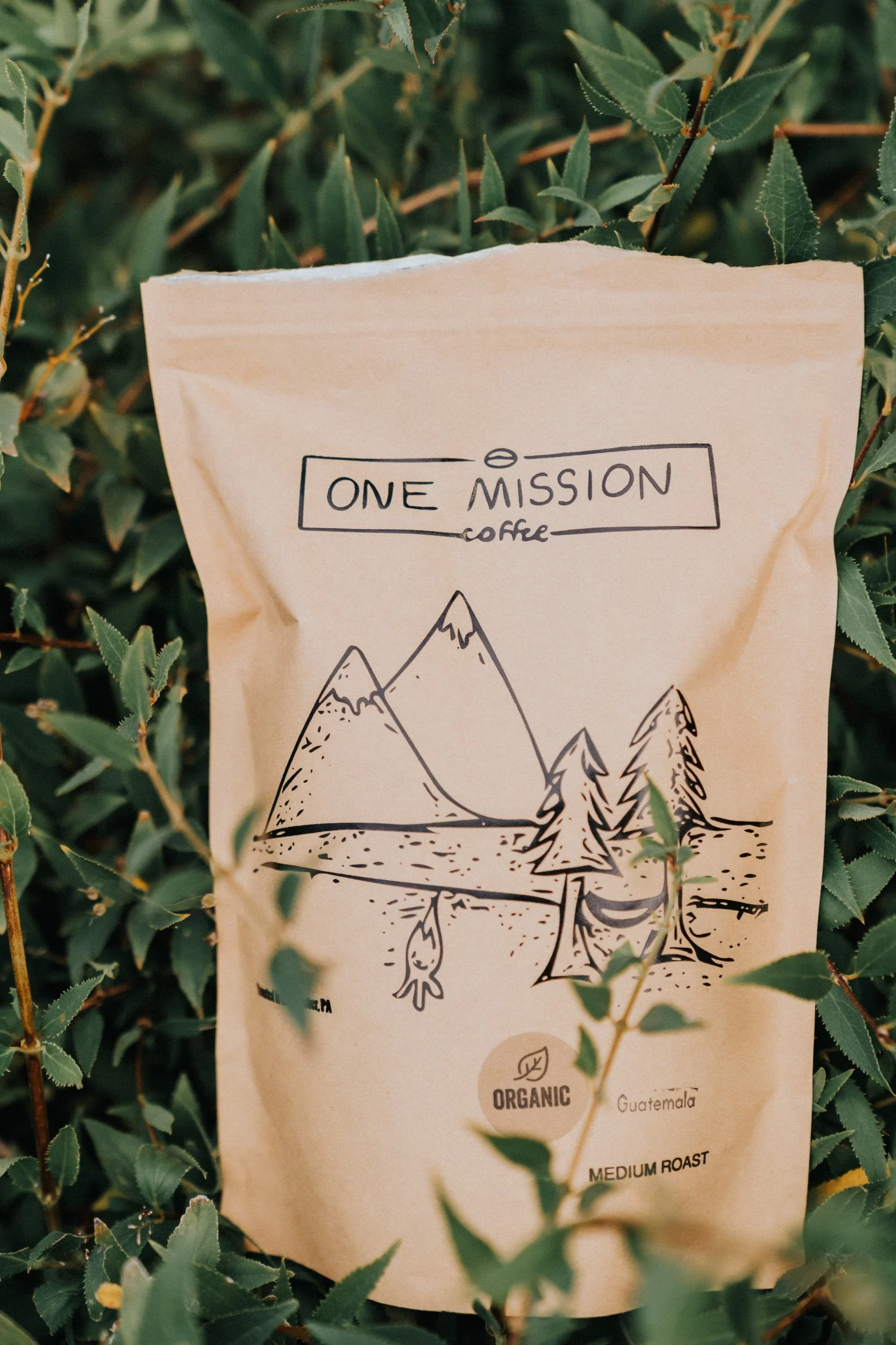 Organic Guatemala    ( Medium Roast )