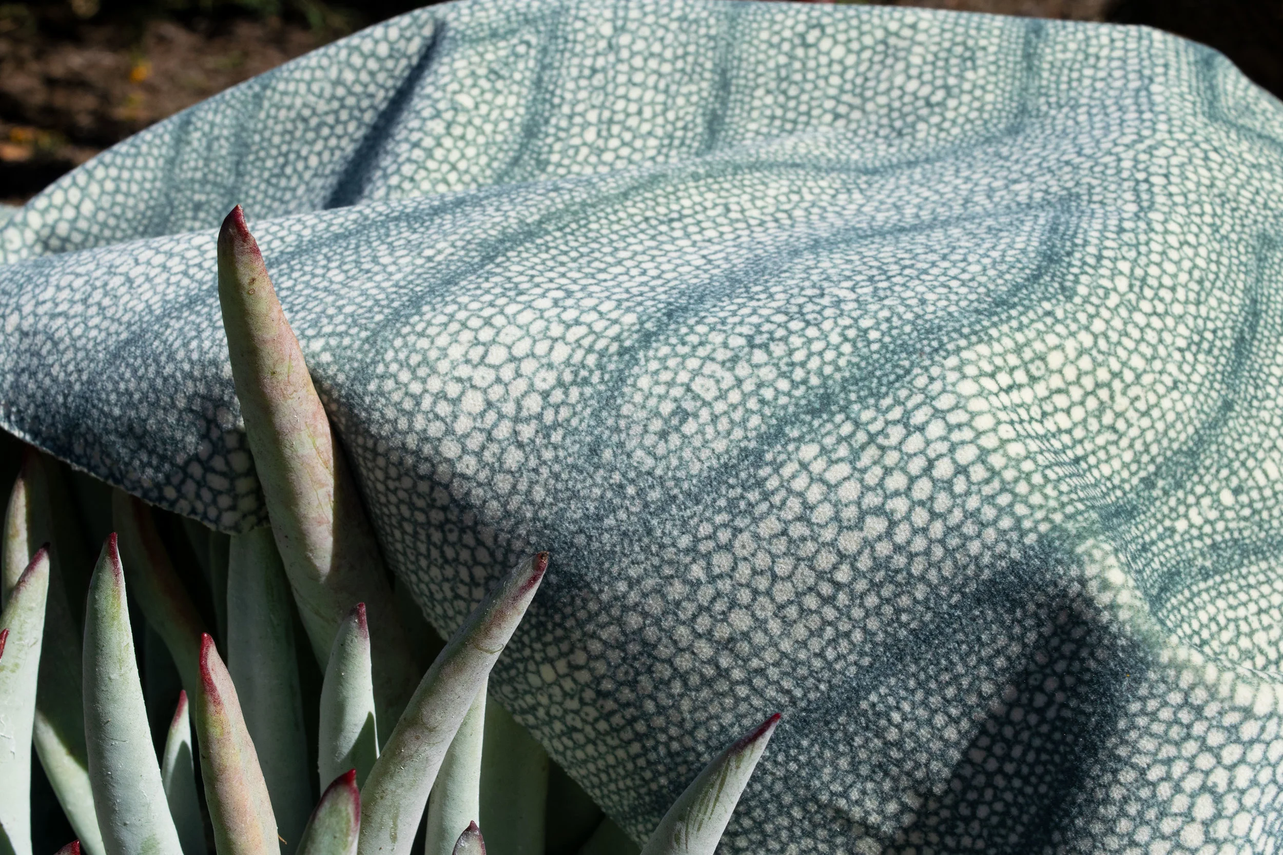 shagreen_ash_velvet_textile_modra_studio_web.jpg