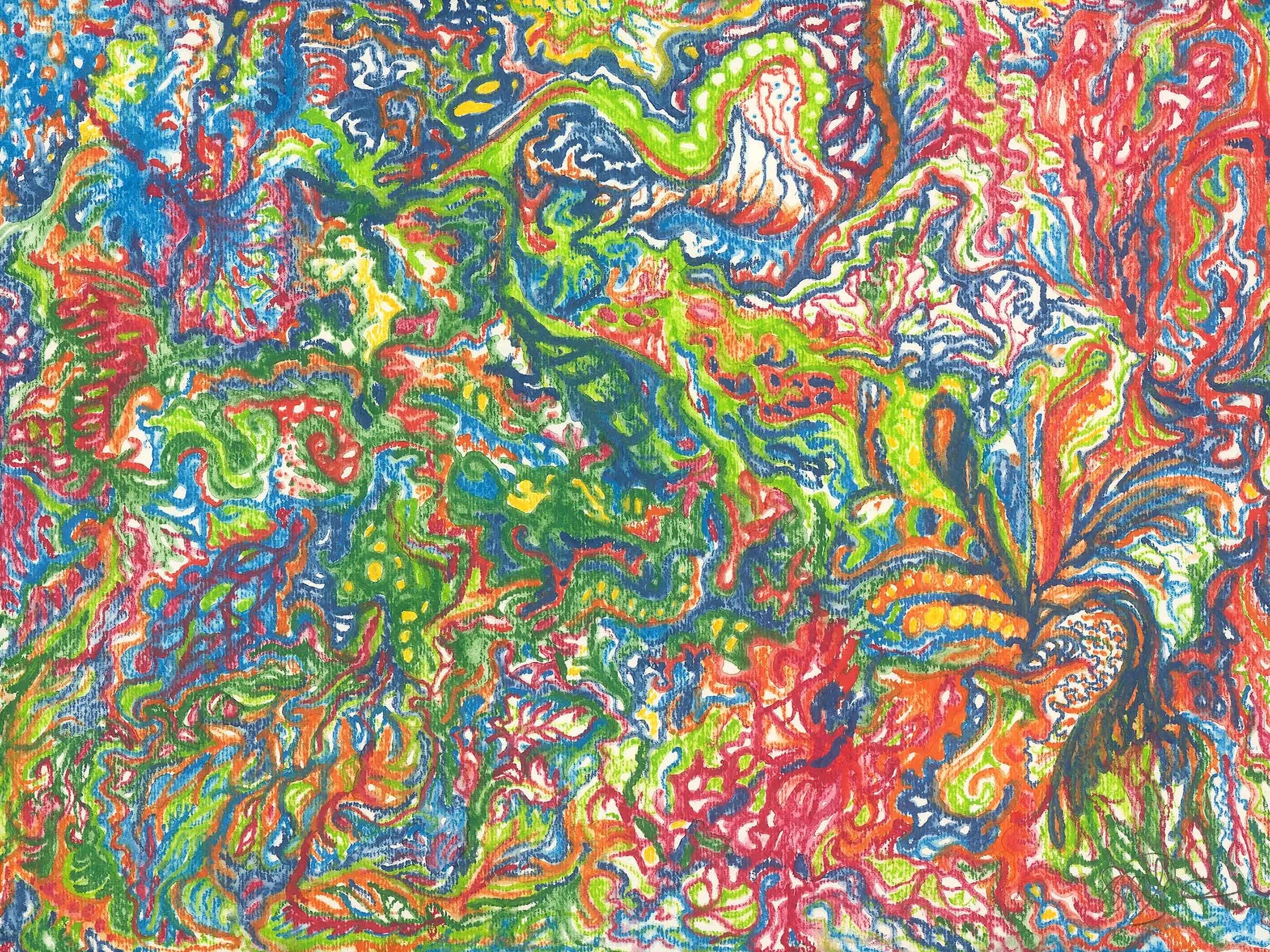 "Garden", Watercolor Pencil on Paper, 12" X 9"