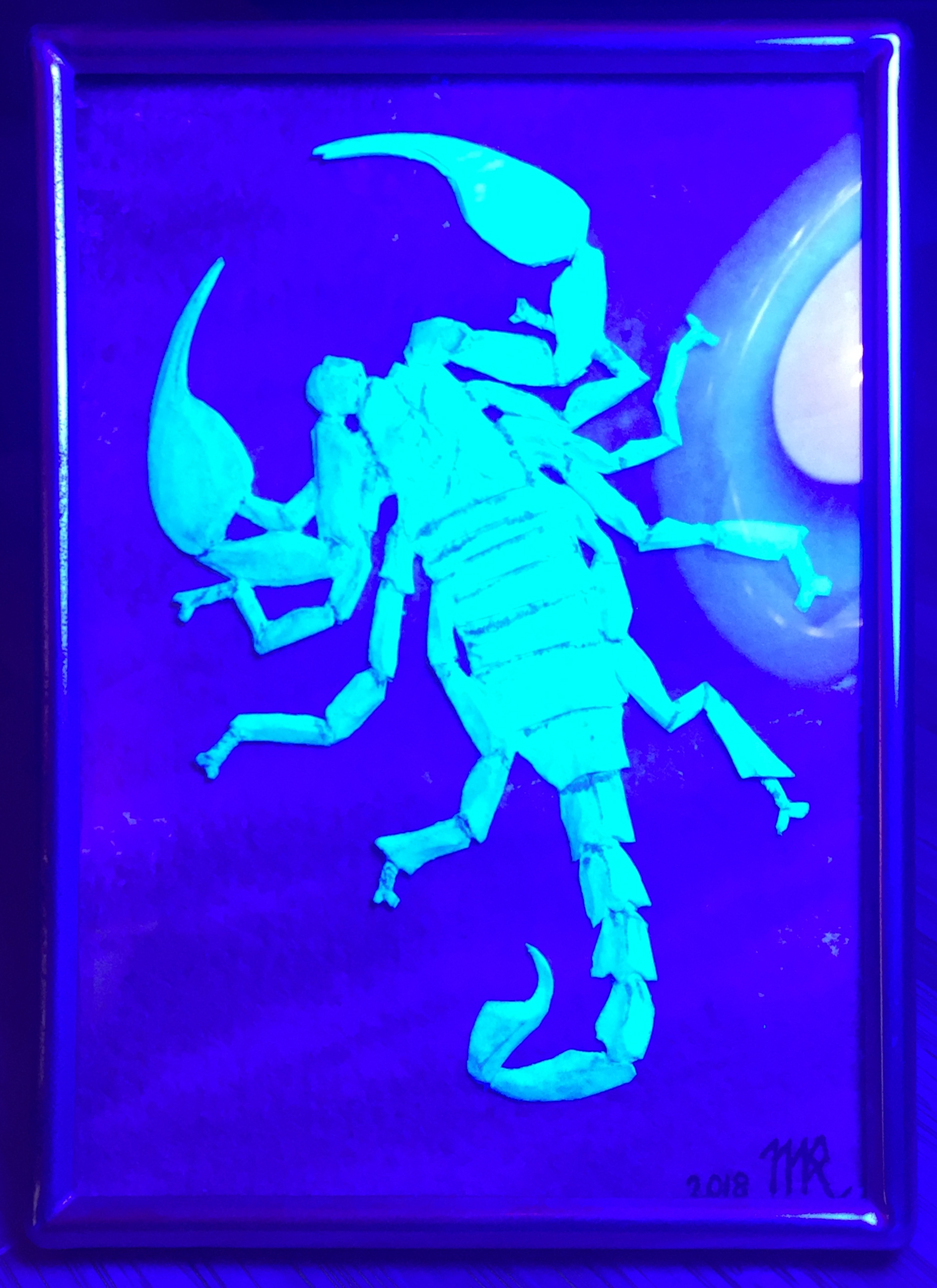scorpion black light.png