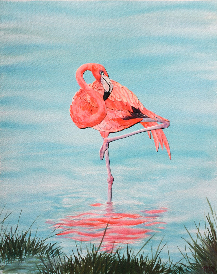 Flamingo1.png