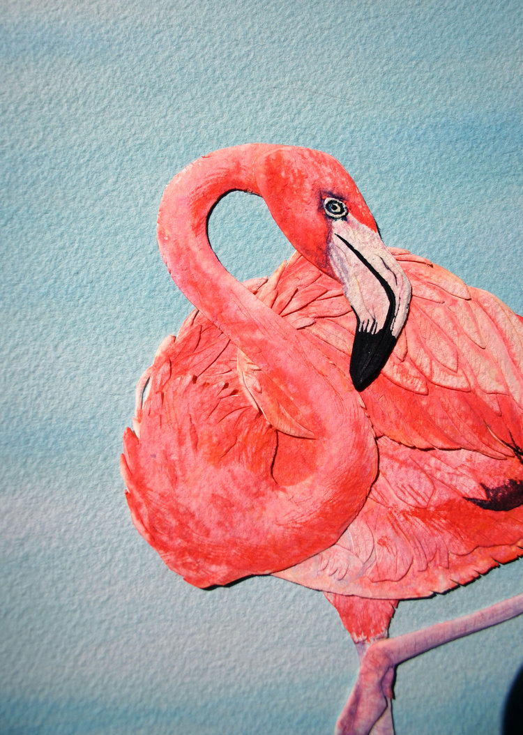 Flamingo2.png