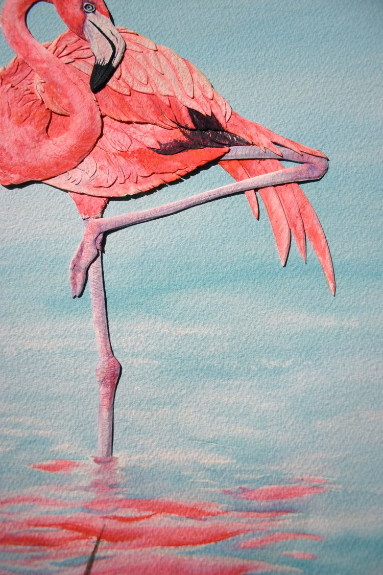 Flamingo4.png