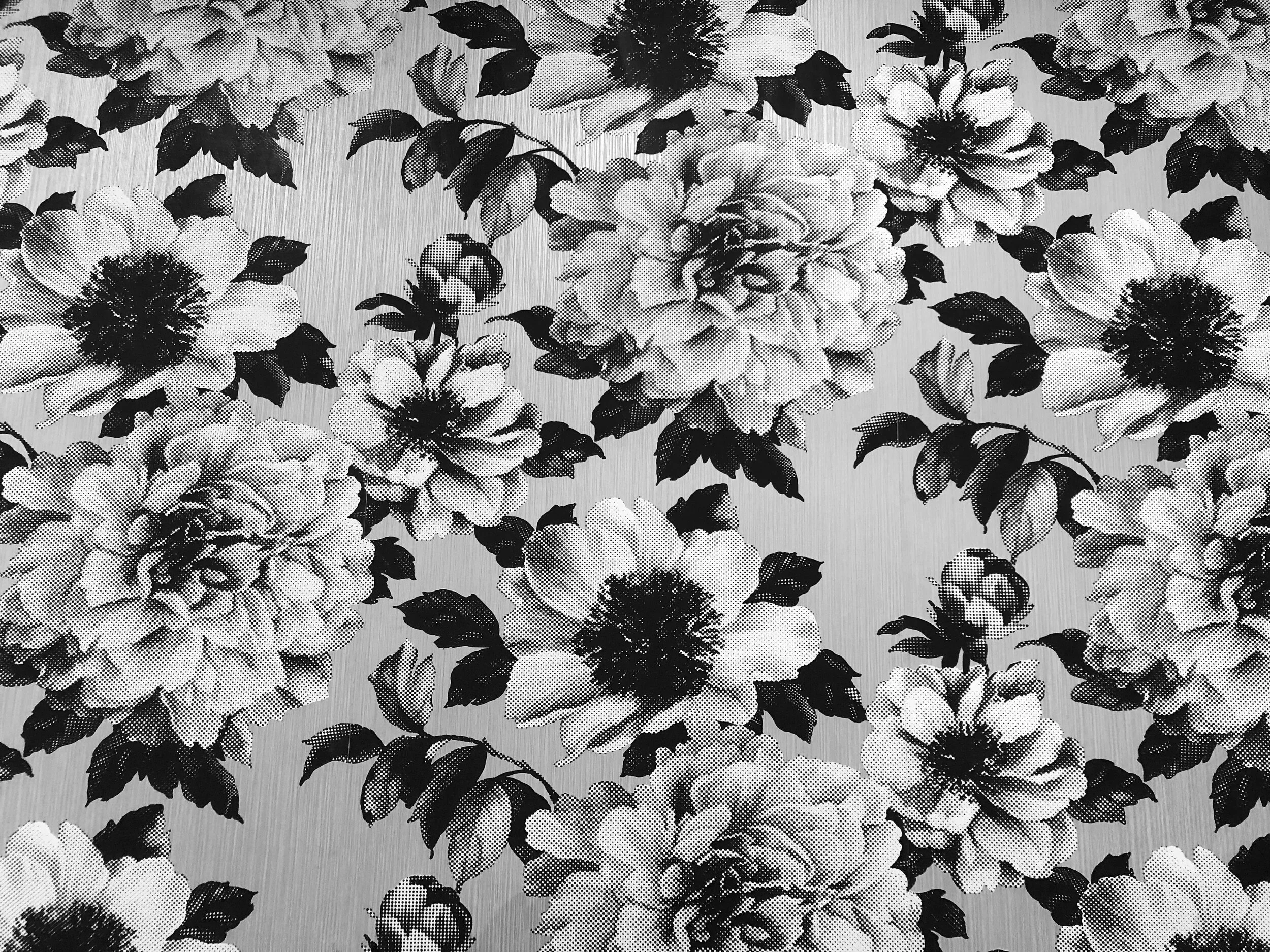 Wallpaper.jpg