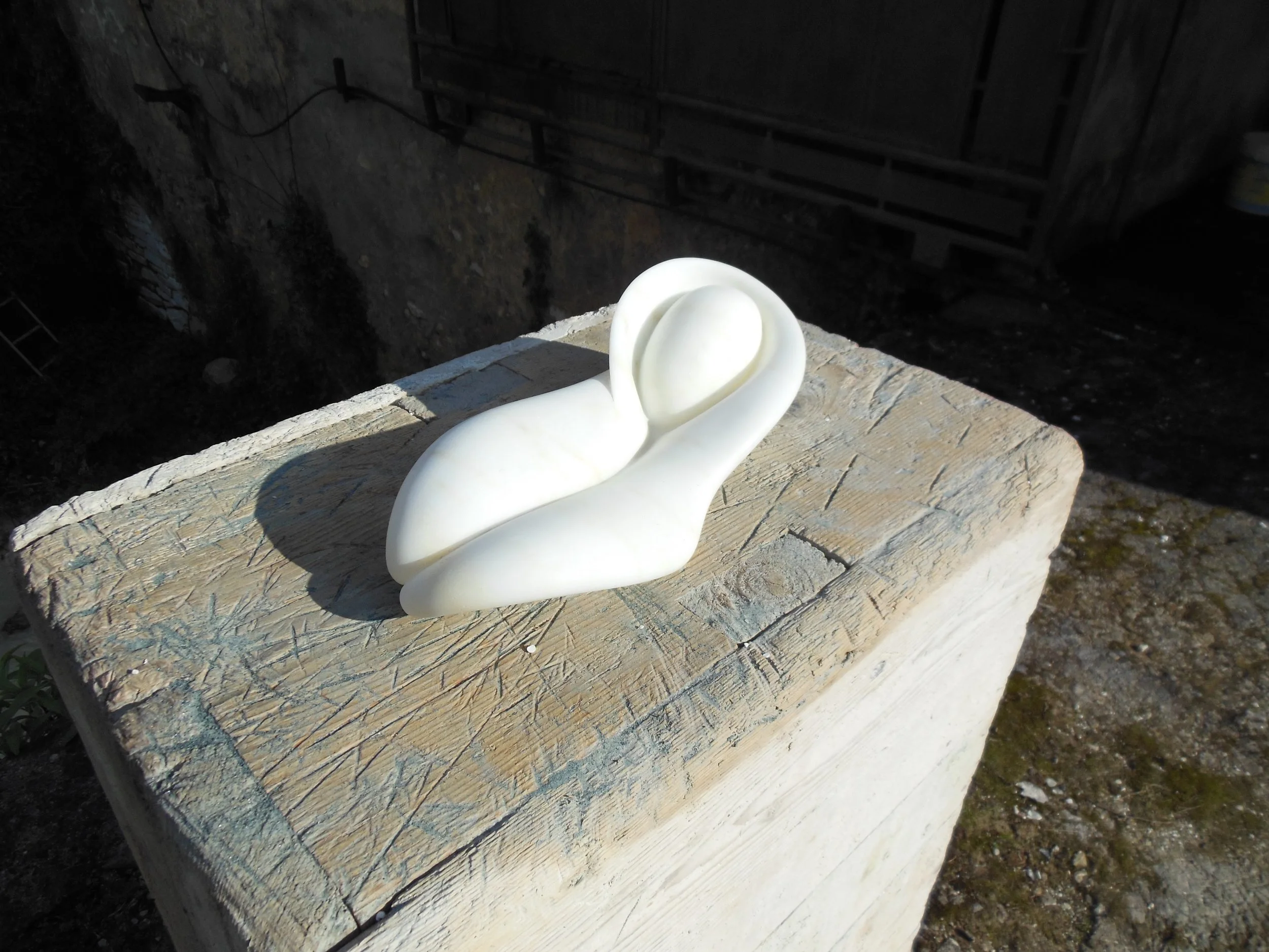 4-6-2012carrara 009.jpg