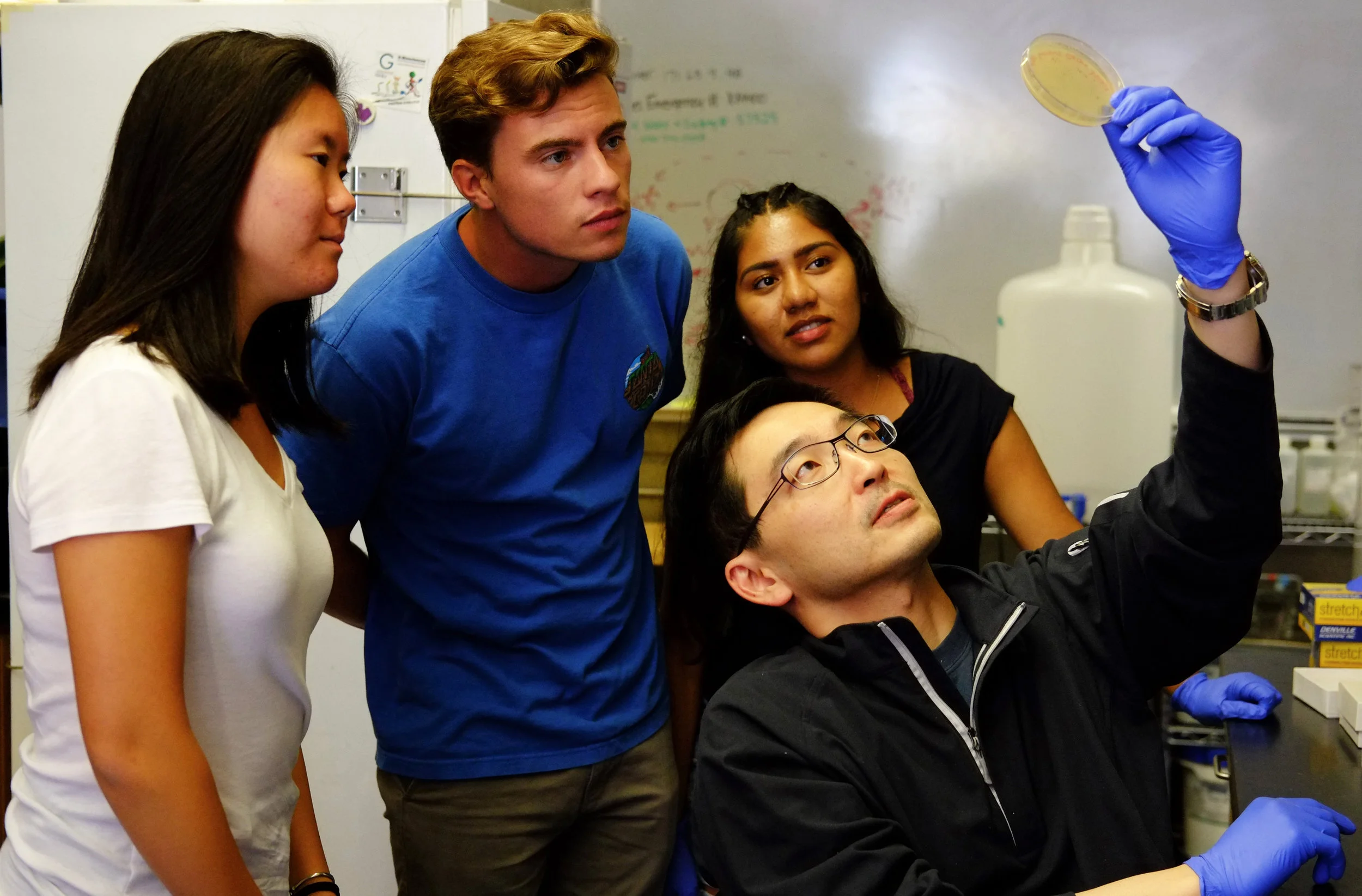 kev_summer lab 18.jpg