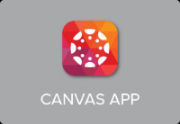 w.app_canvas.png