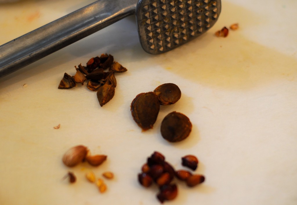 Stonefruit_pits-1024x708.jpg